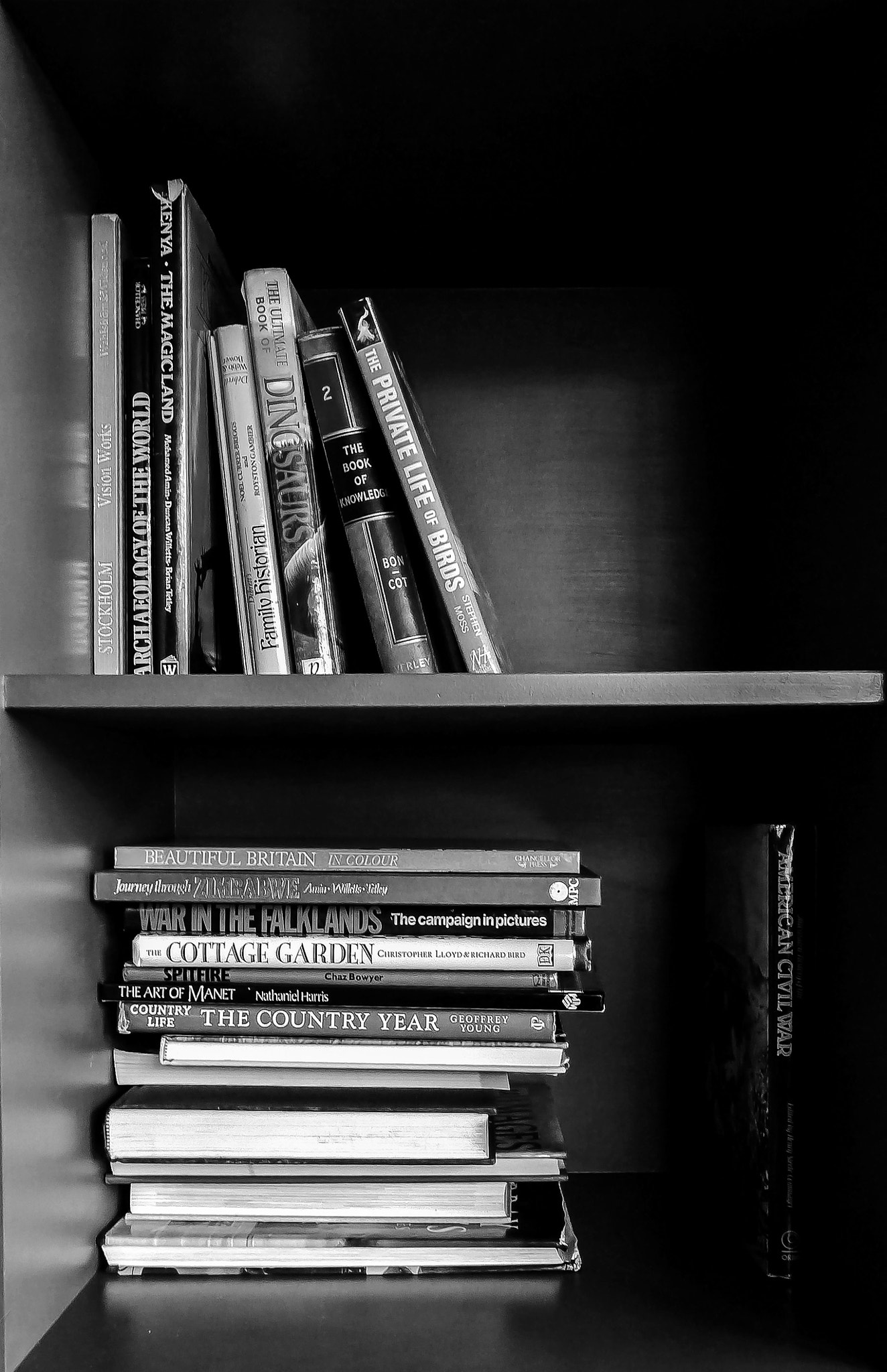 Panasonic Lumix DMC-GF5 sample photo. Bookshelf photography