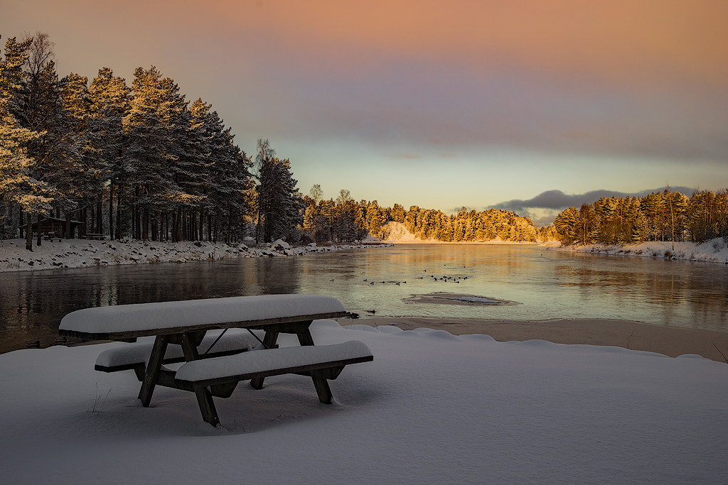 Canon EF 24-70mm F2.8L II USM sample photo. Winterday photography