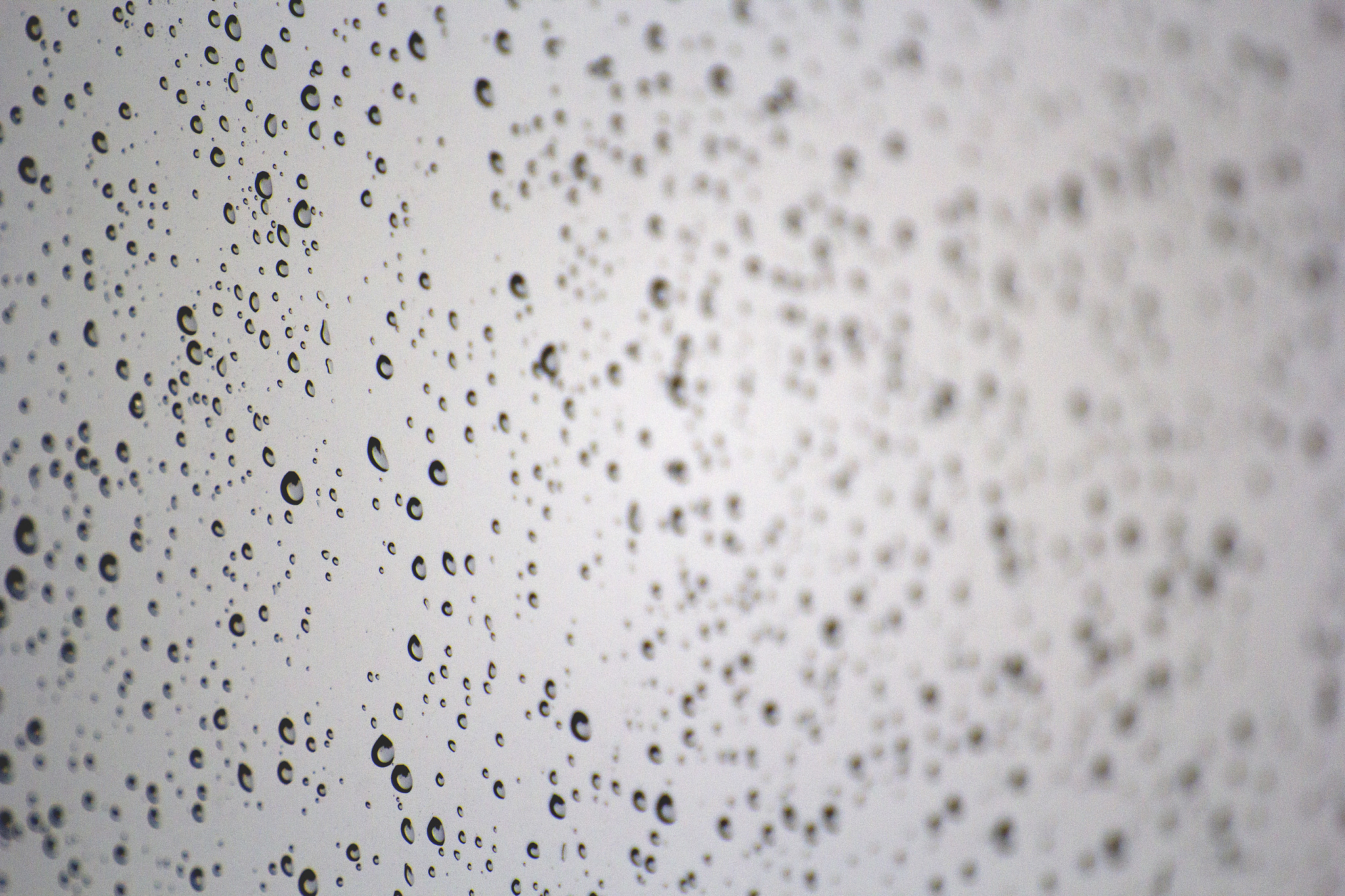 Canon EOS 60D sample photo. I will be silent photography