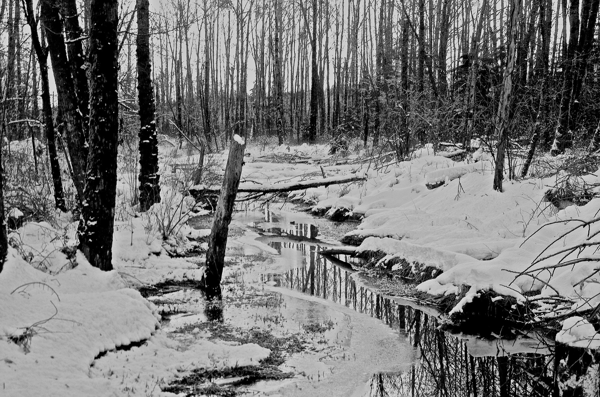 Pentax smc DA 16-45mm F4 ED AL sample photo. Winter stream photography