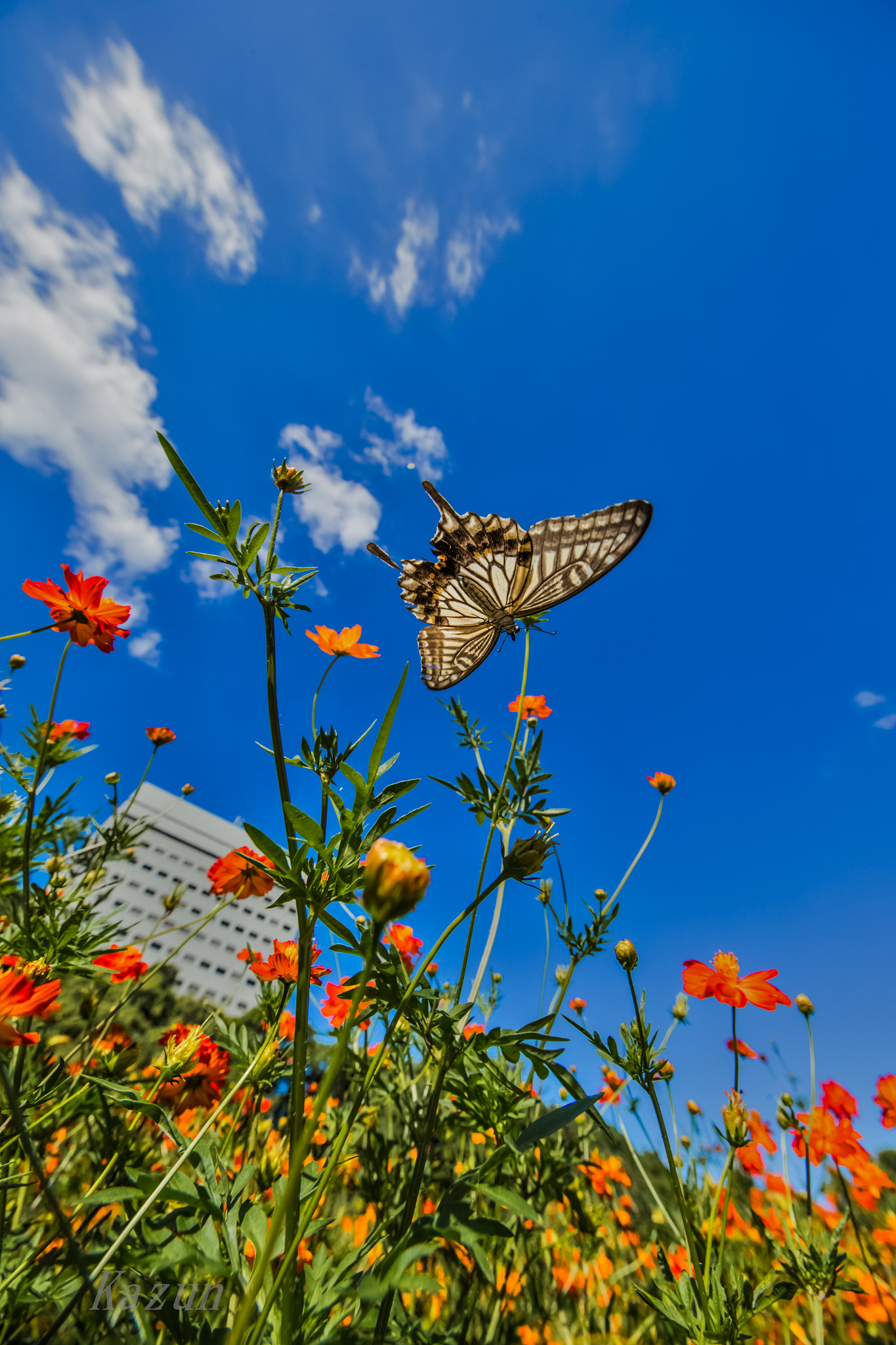Canon EF 11-24mm F4L USM sample photo. Stock2 photography