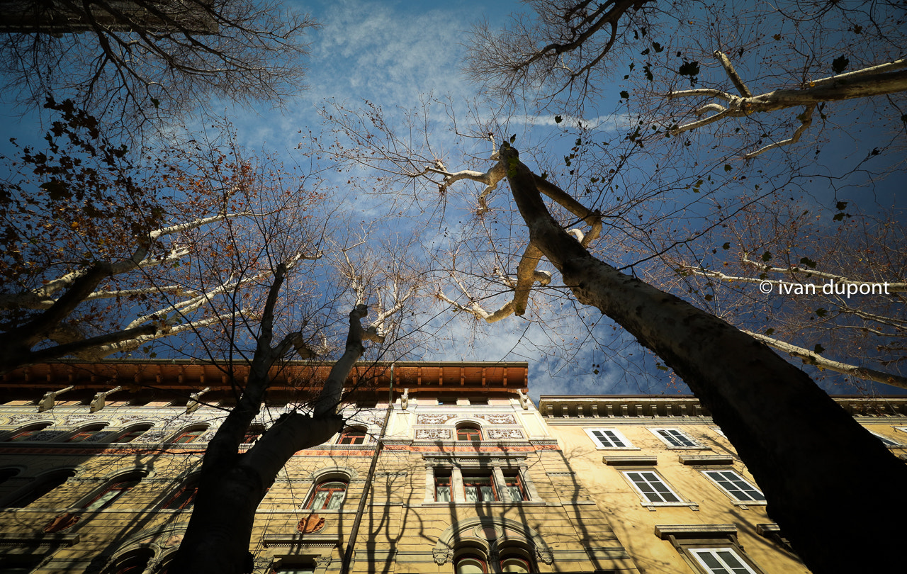 Canon EF-M 11-22mm F4-5.6 IS STM sample photo. Mild winter in trieste, italy photography