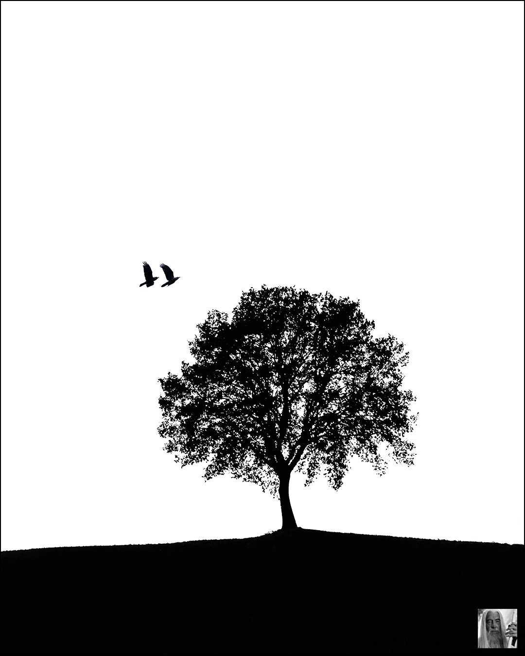 Canon EF-S 17-85mm F4-5.6 IS USM sample photo. Birds & tree photography