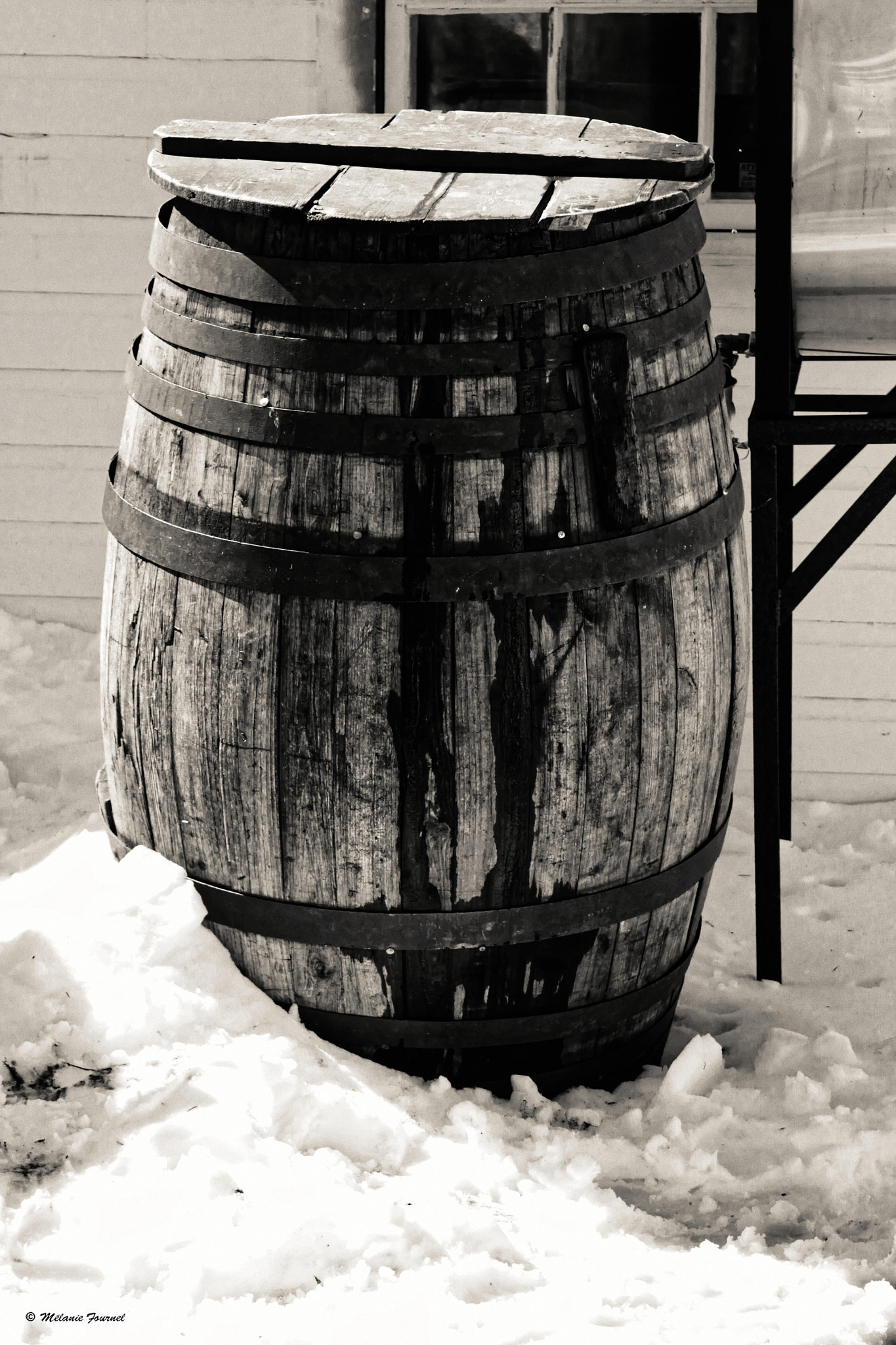 Canon EF 28-90mm f/4-5.6 sample photo. Barrel photography