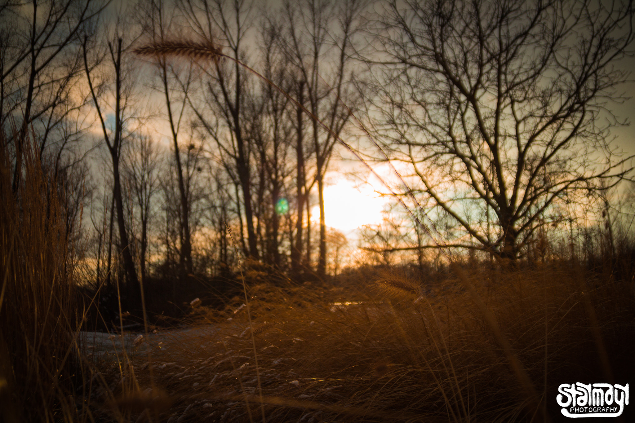 Canon EOS 650D (EOS Rebel T4i / EOS Kiss X6i) sample photo. Winter #3 photography