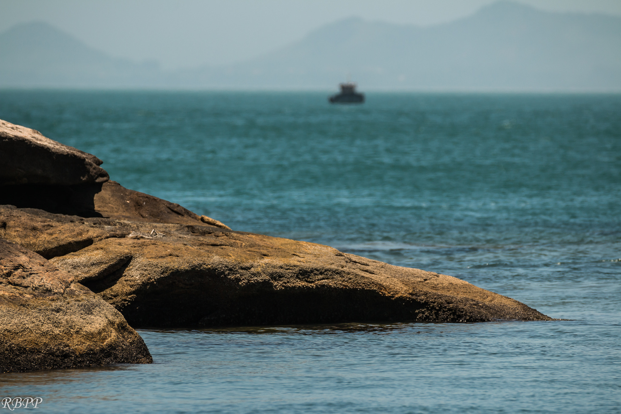 150-600mm F5-6.3 DG OS HSM | Contemporary 015 sample photo. Img photography