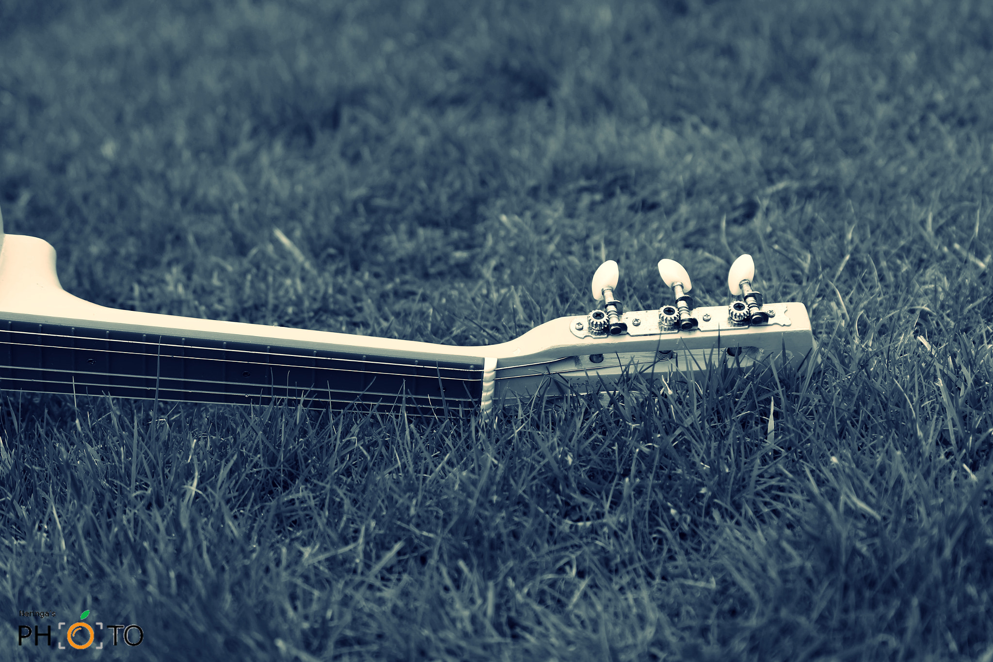 Canon EF 70-300mm F4-5.6 IS USM sample photo. Music is me photography