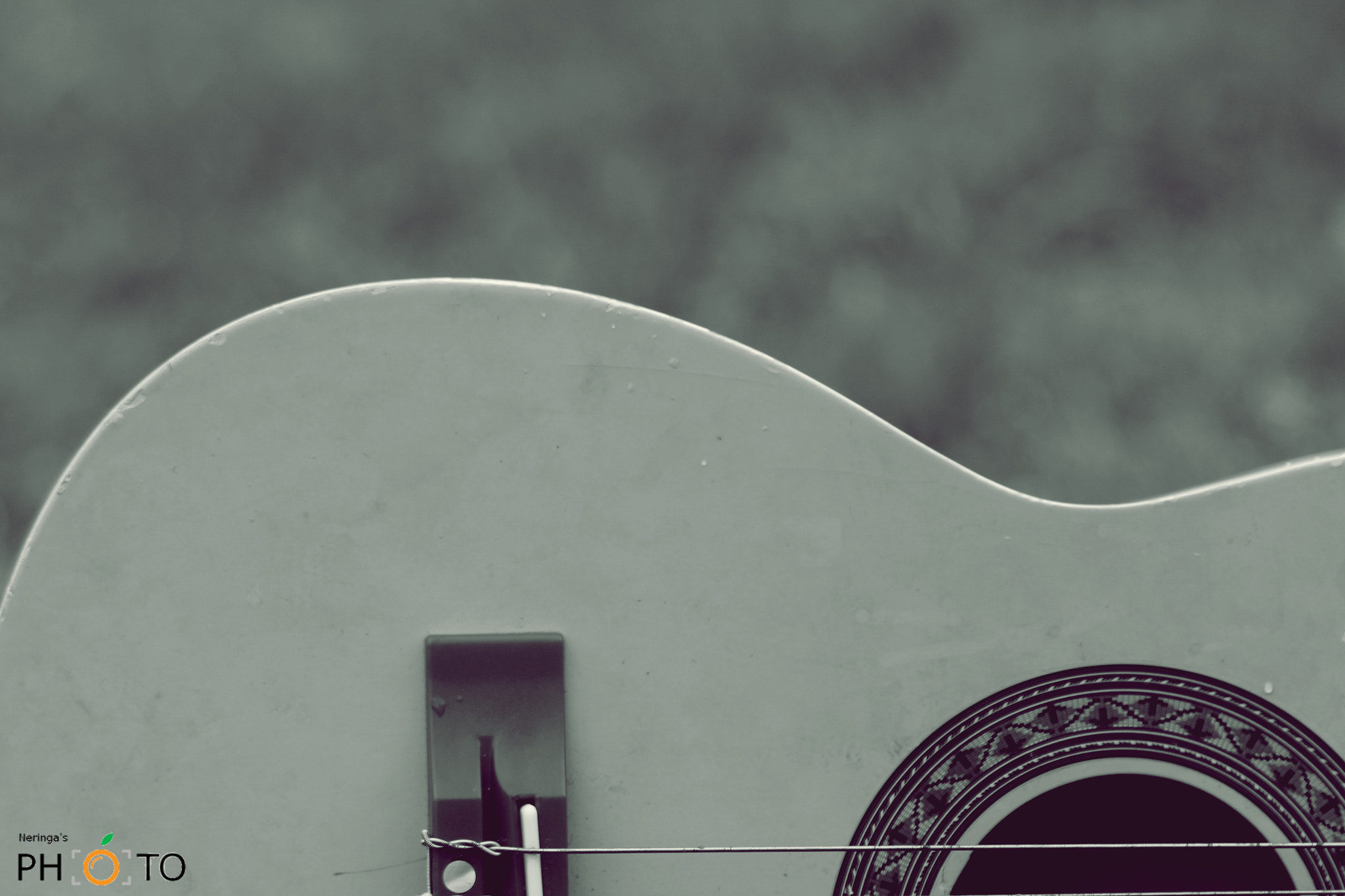 Canon EF 70-300mm F4-5.6 IS USM sample photo. Music is me 2 photography