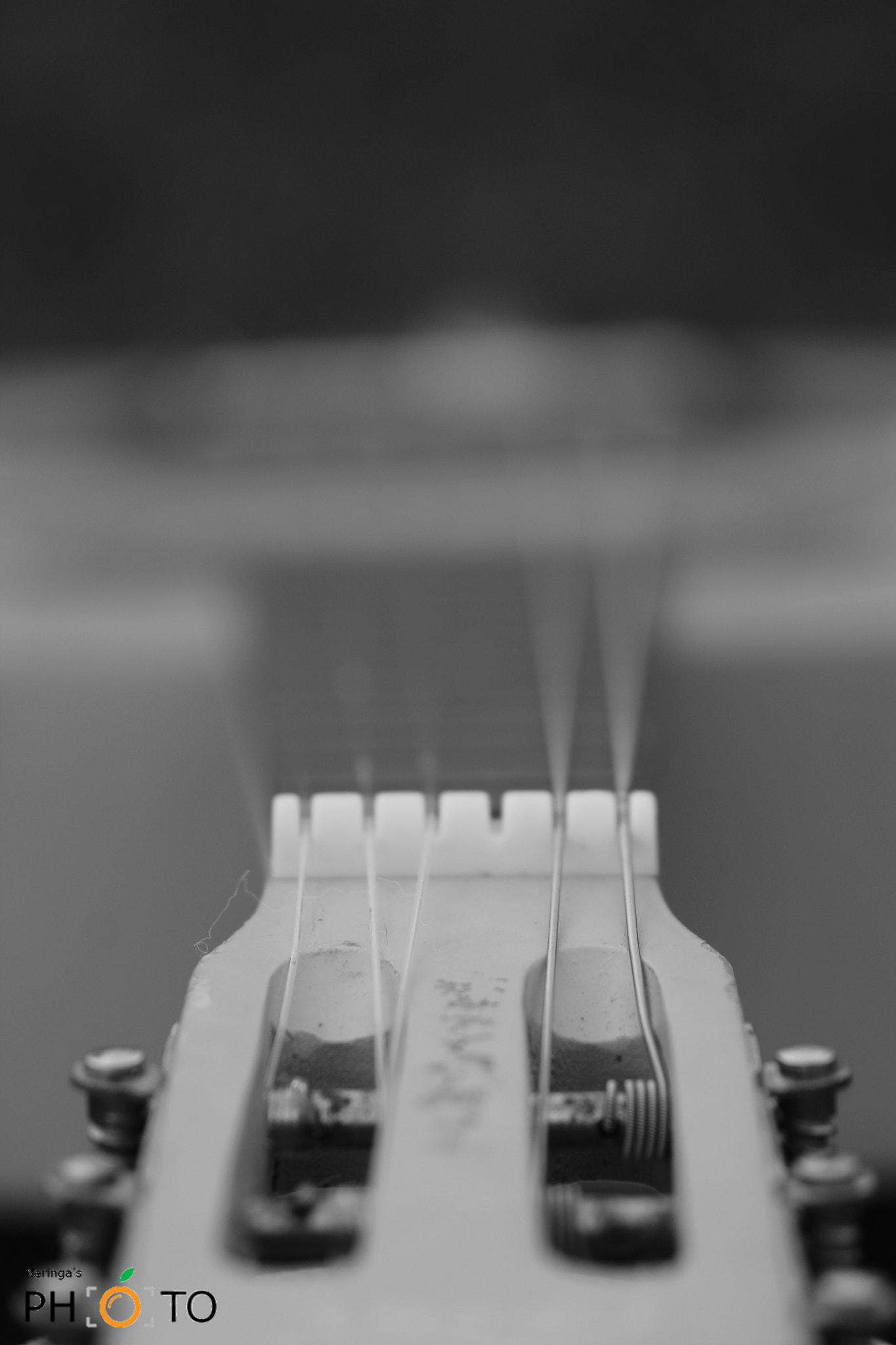Canon EF 70-300mm F4-5.6 IS USM sample photo. Music is me 3 photography
