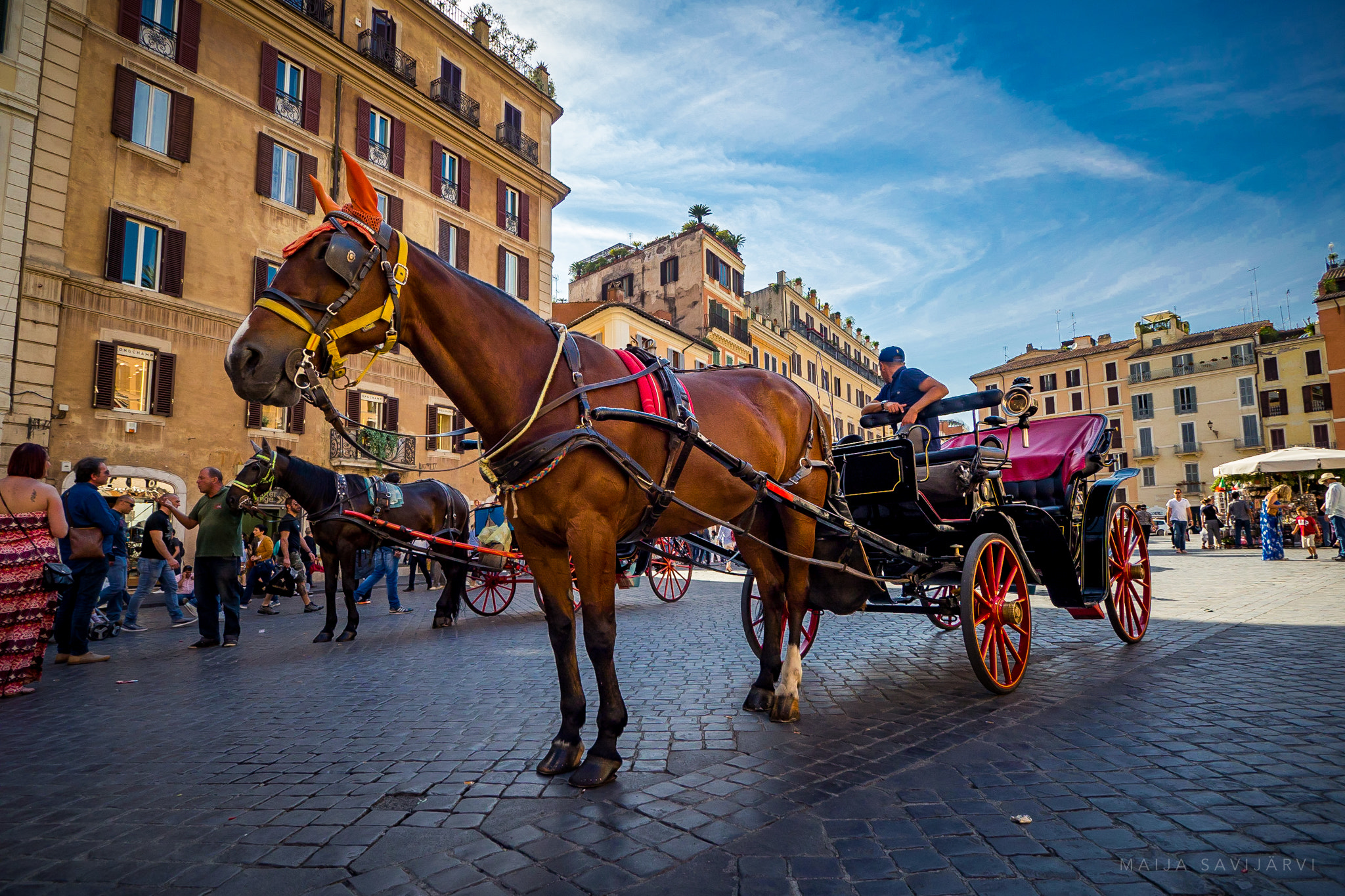 Olympus OM-D E-M10 + OLYMPUS M.9-18mm F4.0-5.6 sample photo. A horse carriage in rome photography