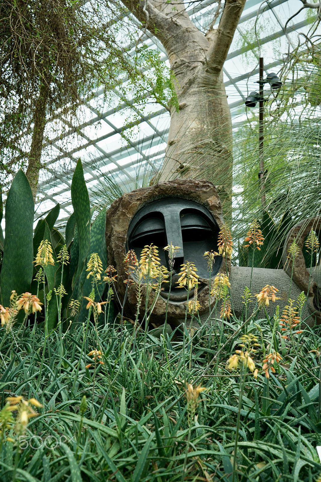 Sony a7R II + Sony Vario Tessar T* FE 24-70mm F4 ZA OSS sample photo. The face at cloud forest dome in garden by the bay photography