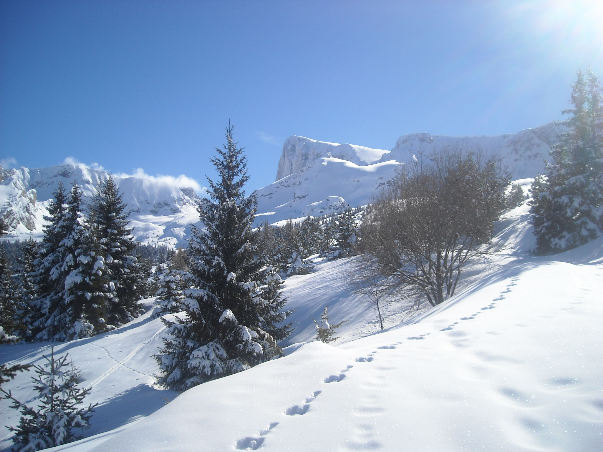 Nikon Coolpix L16 sample photo. Pic de bure (bure's peak), dévoluy, france photography