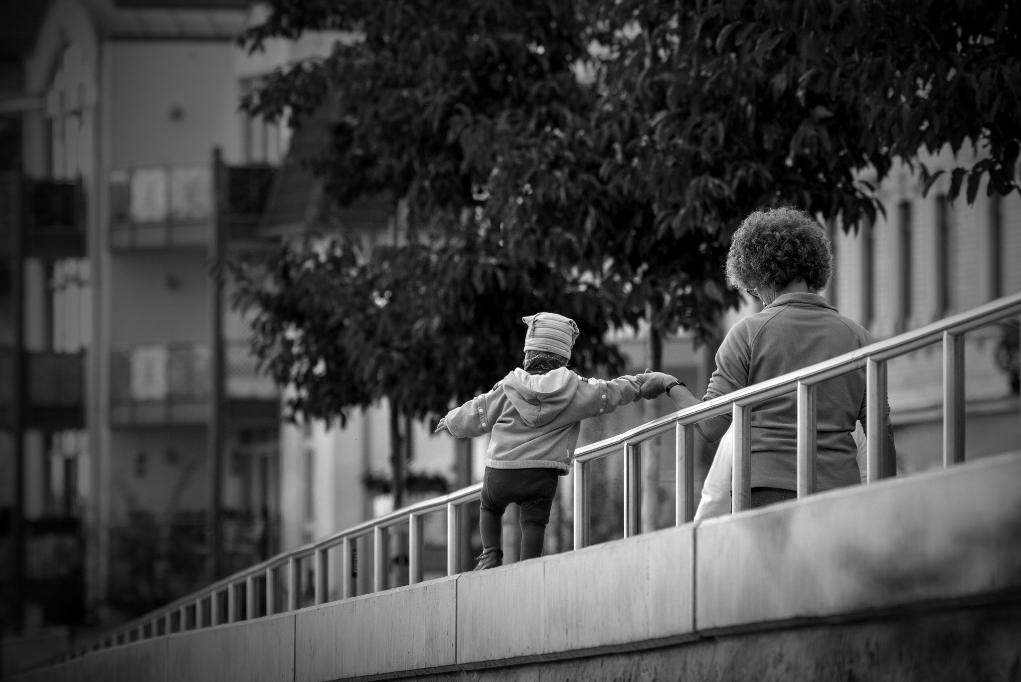 Canon EF 70-300mm F4-5.6L IS USM sample photo. Little daredevil photography