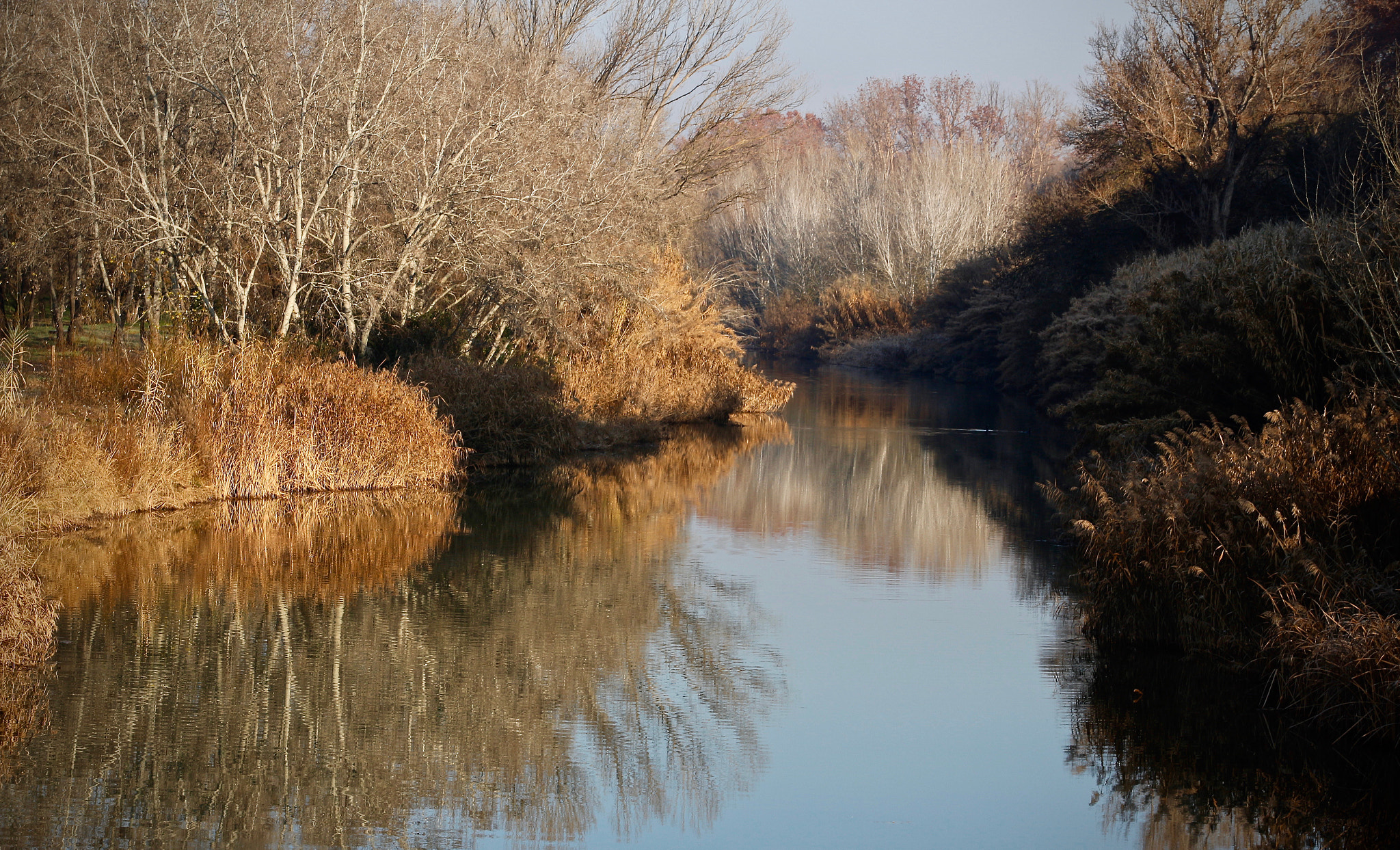 Canon EOS 100D (EOS Rebel SL1 / EOS Kiss X7) sample photo. River photography