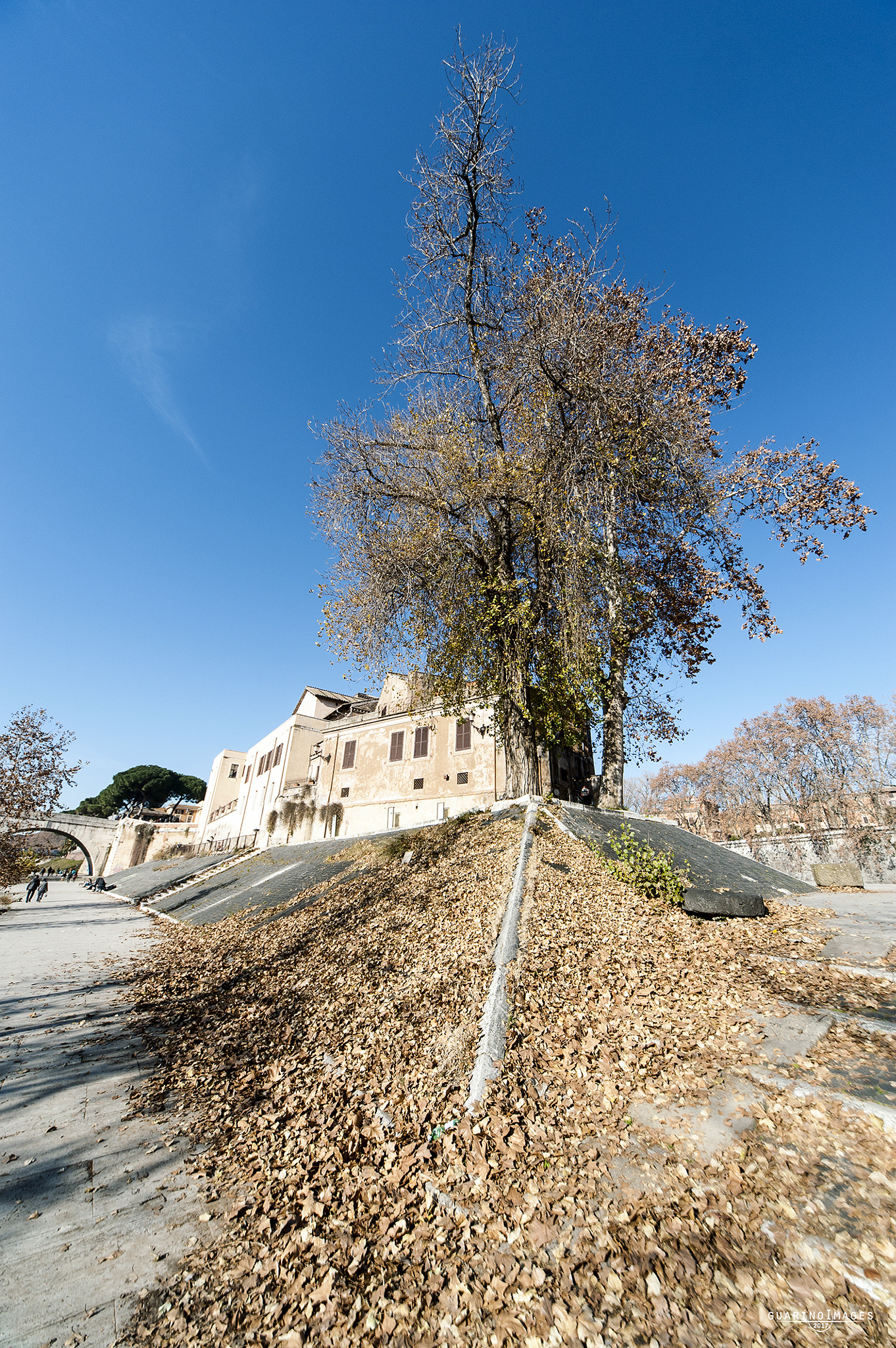 Nikon D700 + Sigma 12-24mm F4.5-5.6 EX DG Aspherical HSM sample photo. Isola tiberina photography