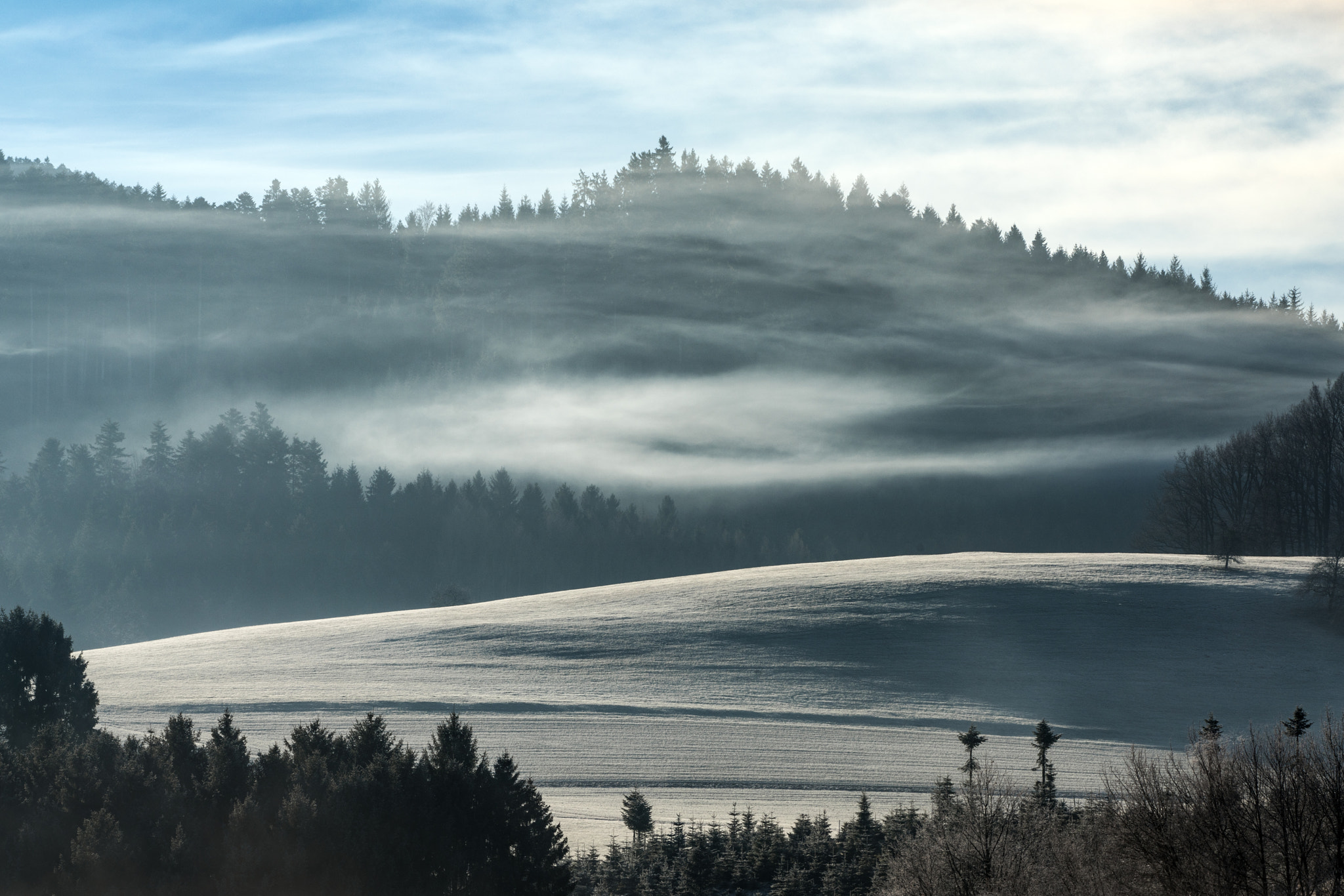 150-600mm F5-6.3 DG OS HSM | Contemporary 015 sample photo. Winter is coming photography