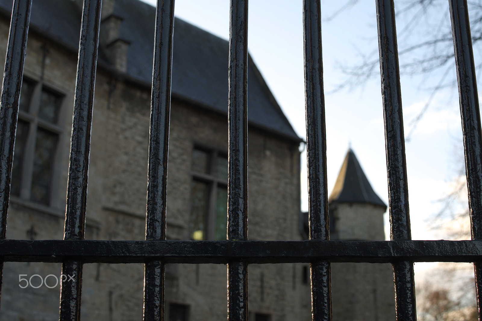 Nikon D500 + Nikon AF-S DX Nikkor 35mm F1.8G sample photo. "(he)'t hof van brussel" photography