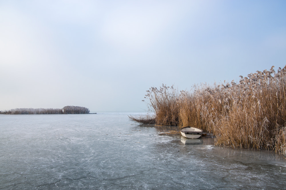 Nikon D90 + Sigma 18-50mm F2.8 EX DC Macro sample photo. Cold photography