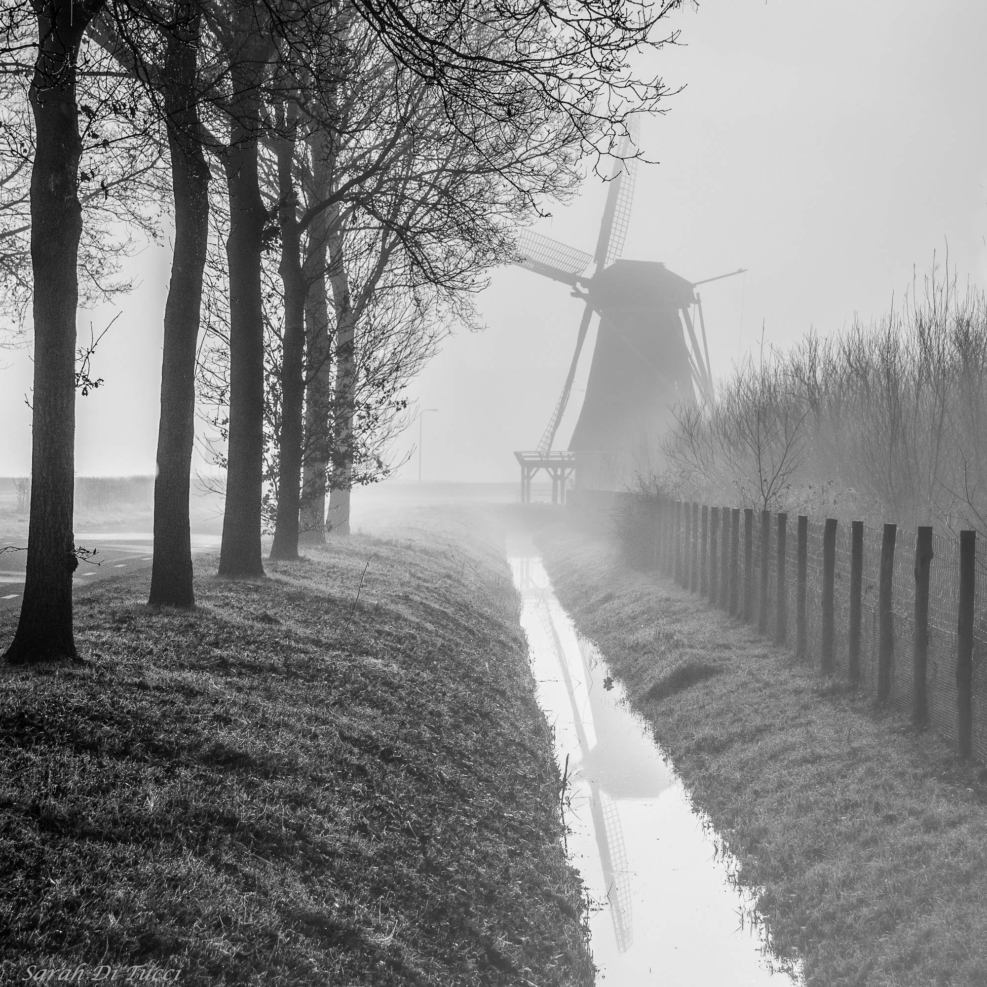 Sony SLT-A58 + Tamron AF 28-105mm F4-5.6 [IF] sample photo. Windmill in the fog photography
