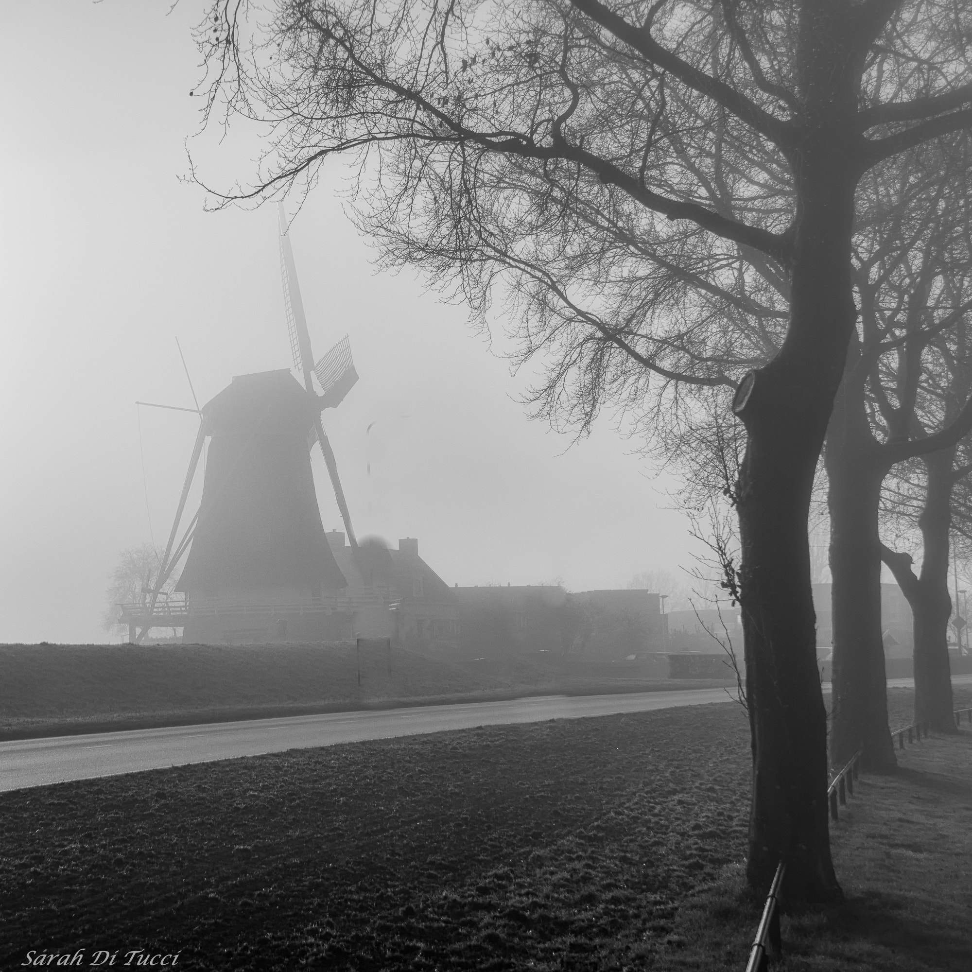 Sony SLT-A58 sample photo. Windmill photography