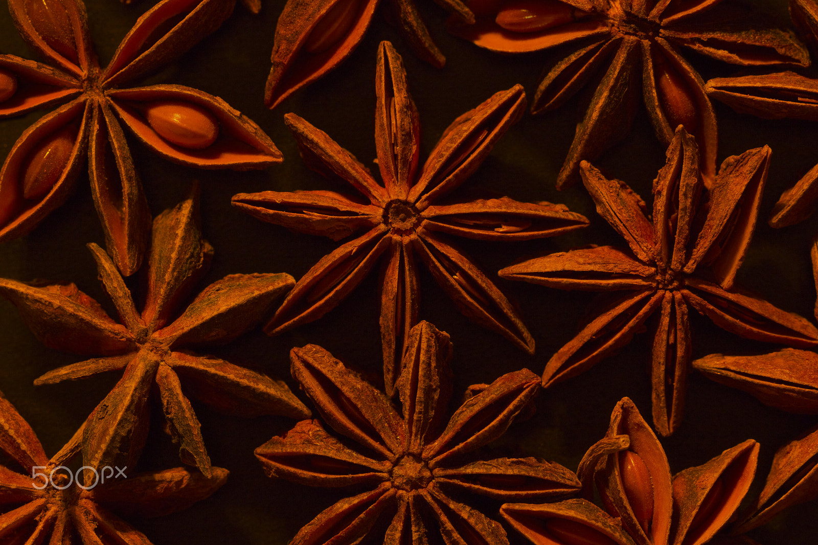 Canon EF 100mm F2.8L Macro IS USM sample photo. Star photography