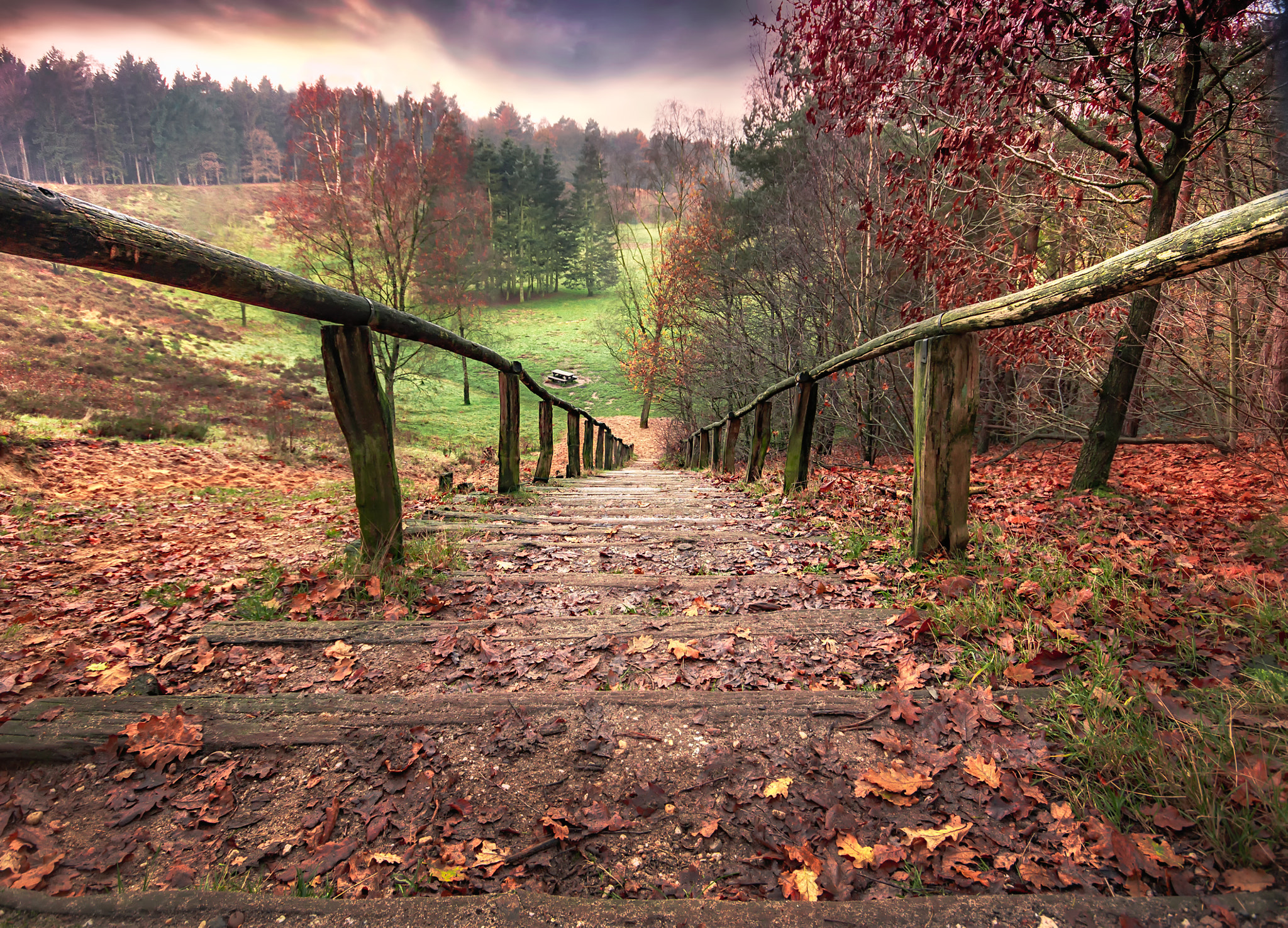 Canon EOS 40D + Sigma 10-20mm F4-5.6 EX DC HSM sample photo. Stairs photography
