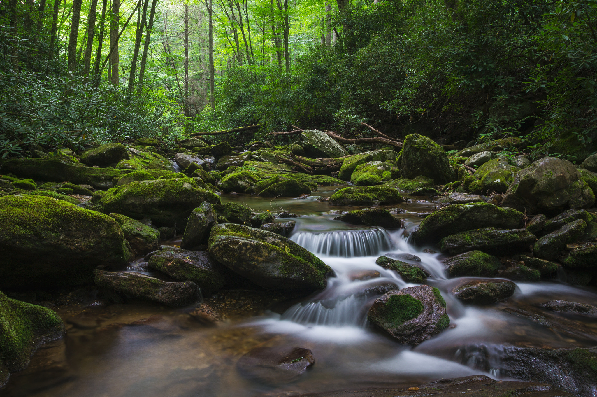 Sony SLT-A57 sample photo. Shining creek photography