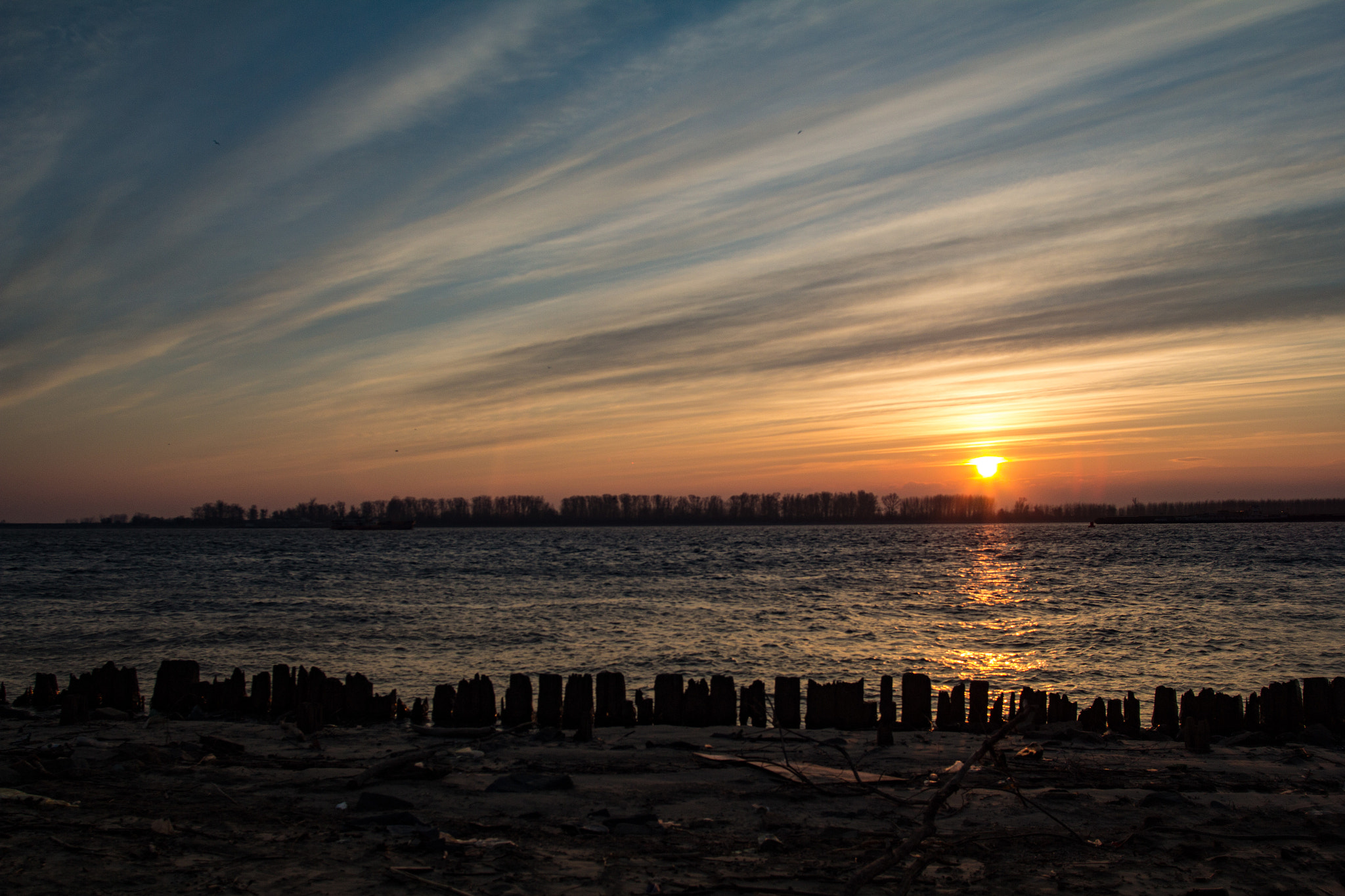 Canon EF 35-80mm f/4-5.6 sample photo. T photography