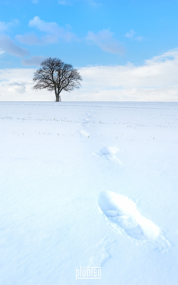 Minolta AF 17-35mm F2.8-4 (D) sample photo. Lonely winter walk photography