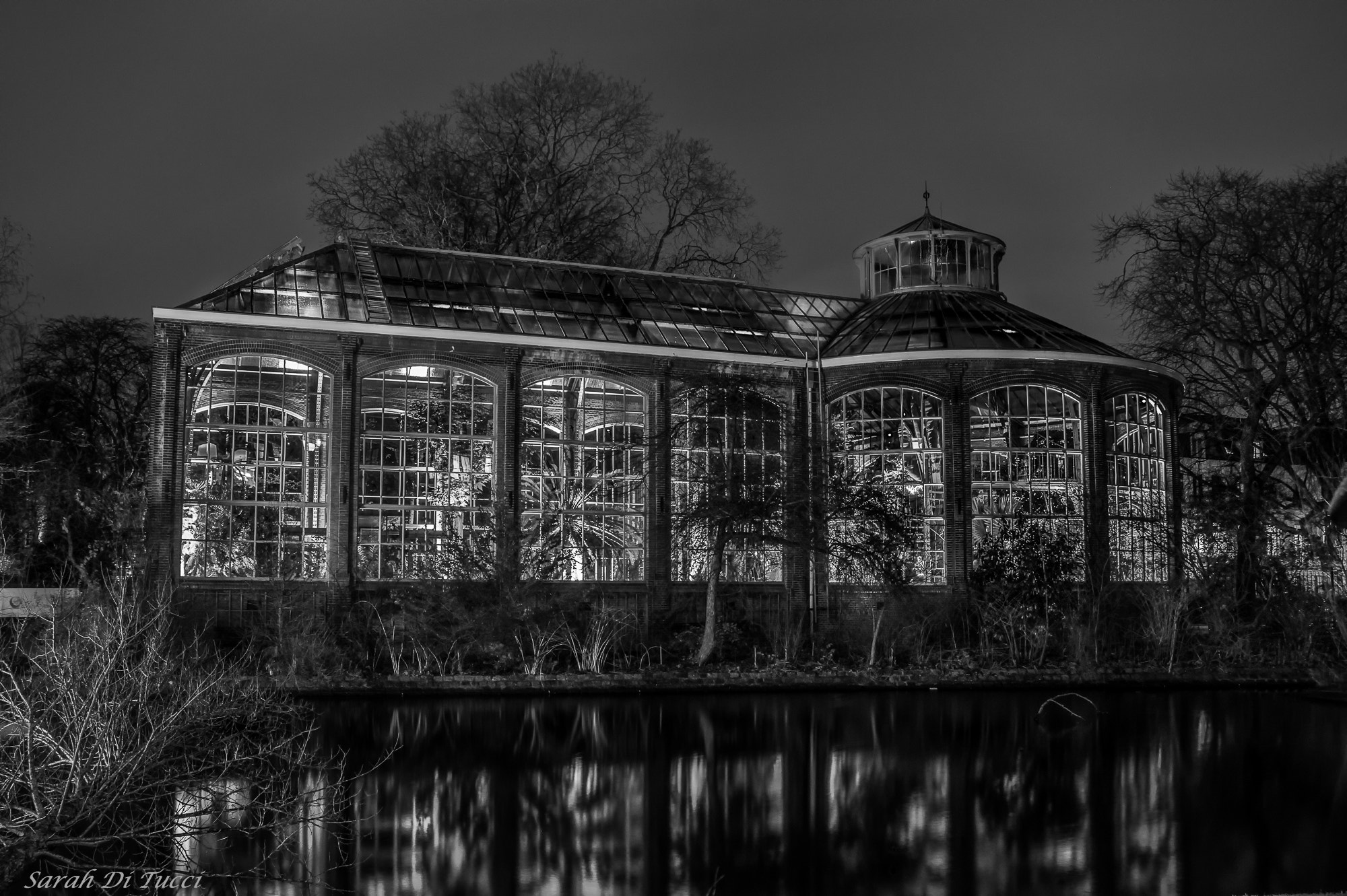 Sony DT 18-200mm F3.5-6.3 sample photo. Hortus botanicus amsterdam photography