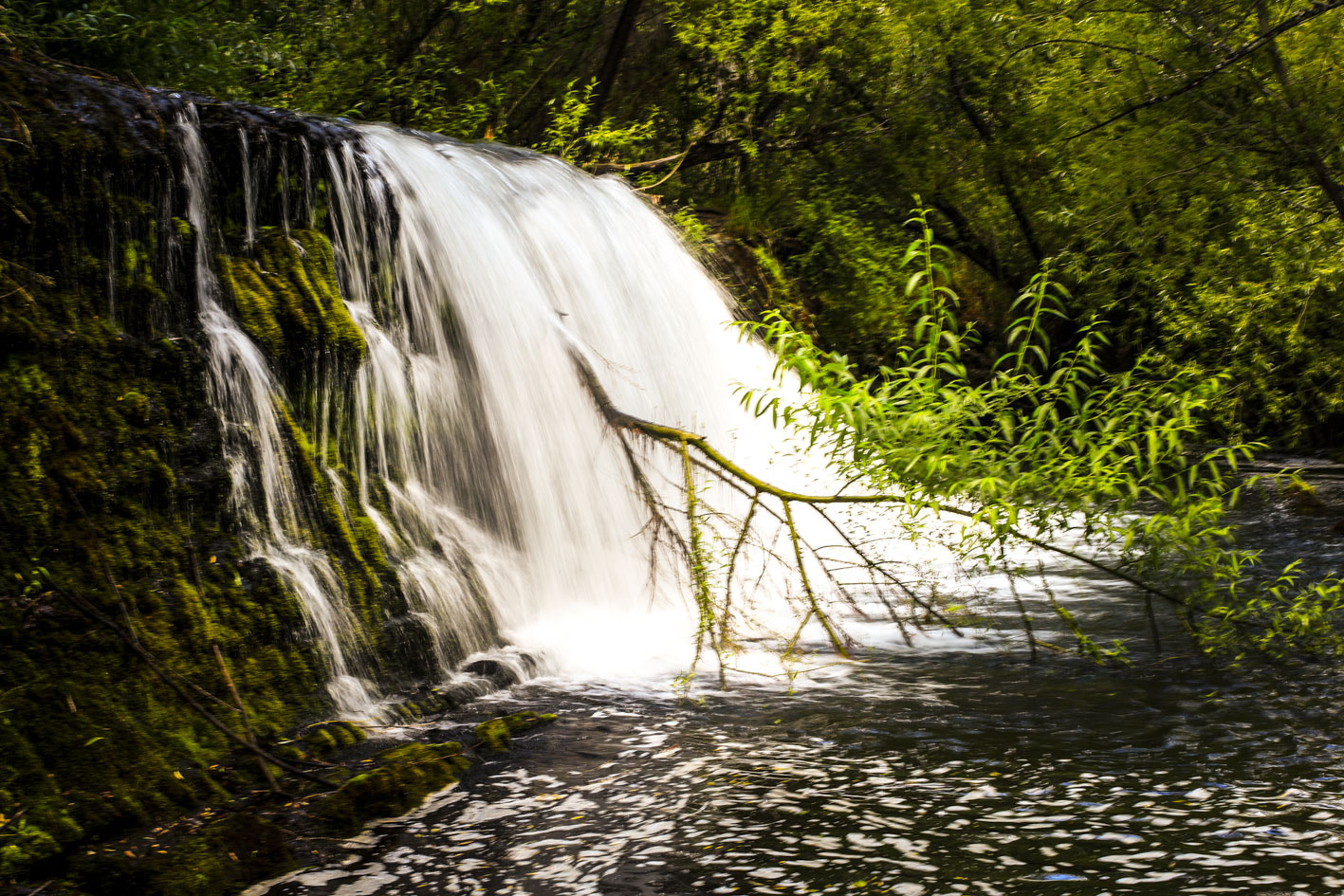 Canon EF 35-80mm f/4-5.6 sample photo