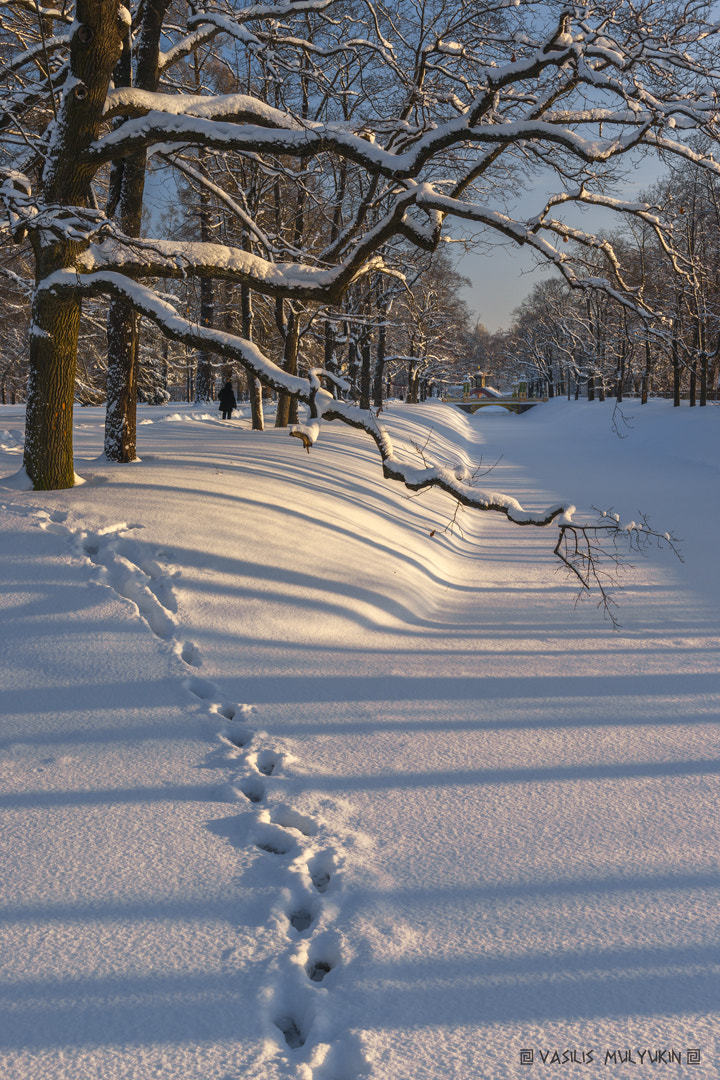 Sony Alpha DSLR-A900 + Minolta AF 28-70mm F2.8 G sample photo. Былое ... photography