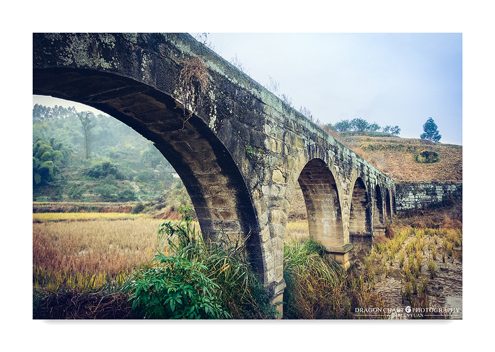 Fujifilm XC 16-50mm F3.5-5.6 OIS II sample photo. 隆冬 photography