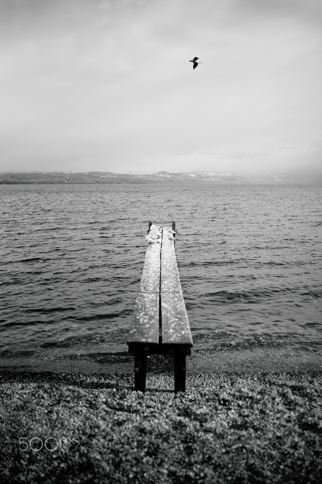 Sony a99 II sample photo. Lac léman, saint-prex, 05-01-2017 (#1, bw) photography