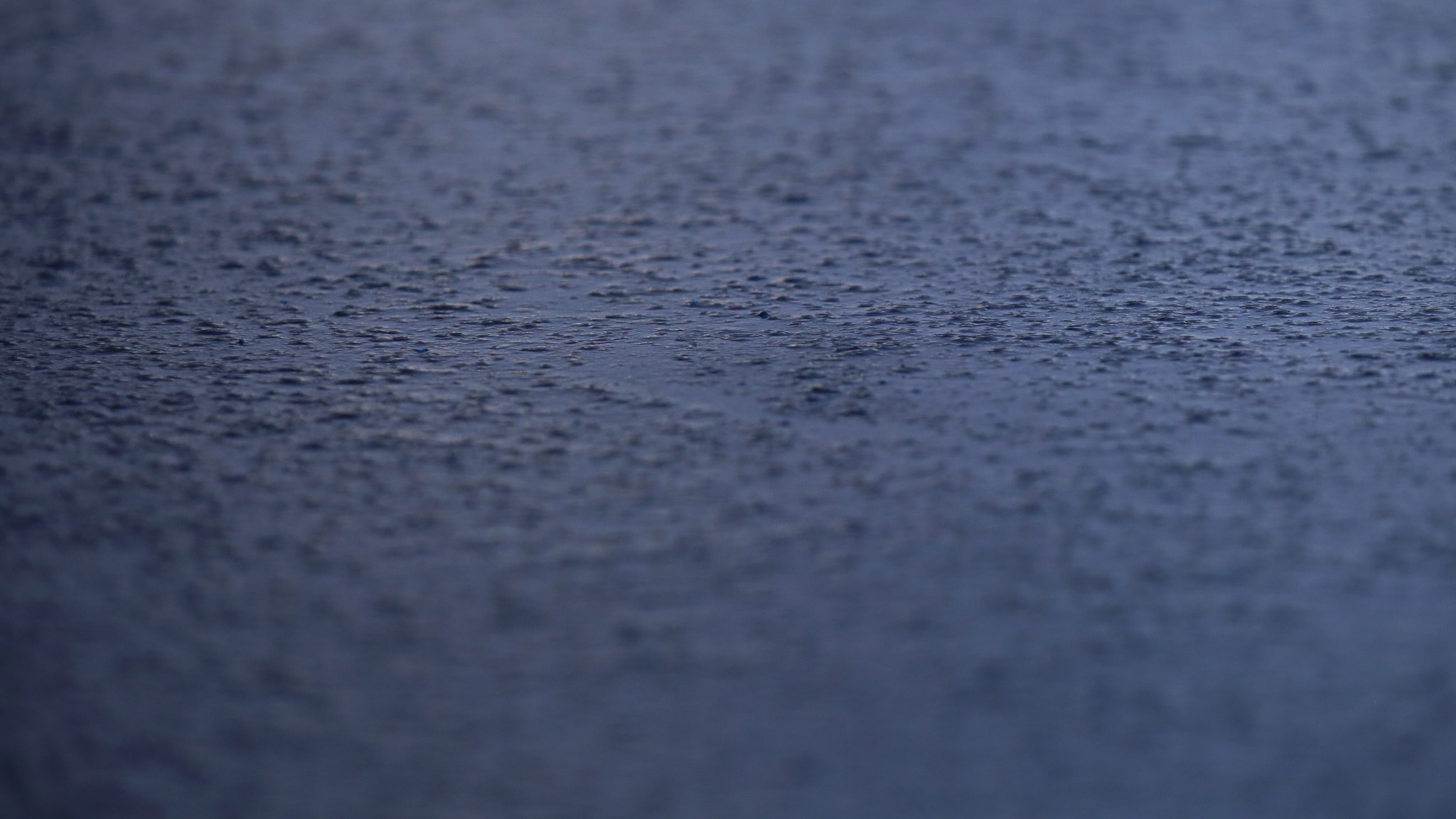Canon EF 70-200mm F2.8L IS II USM sample photo. Frozen photography