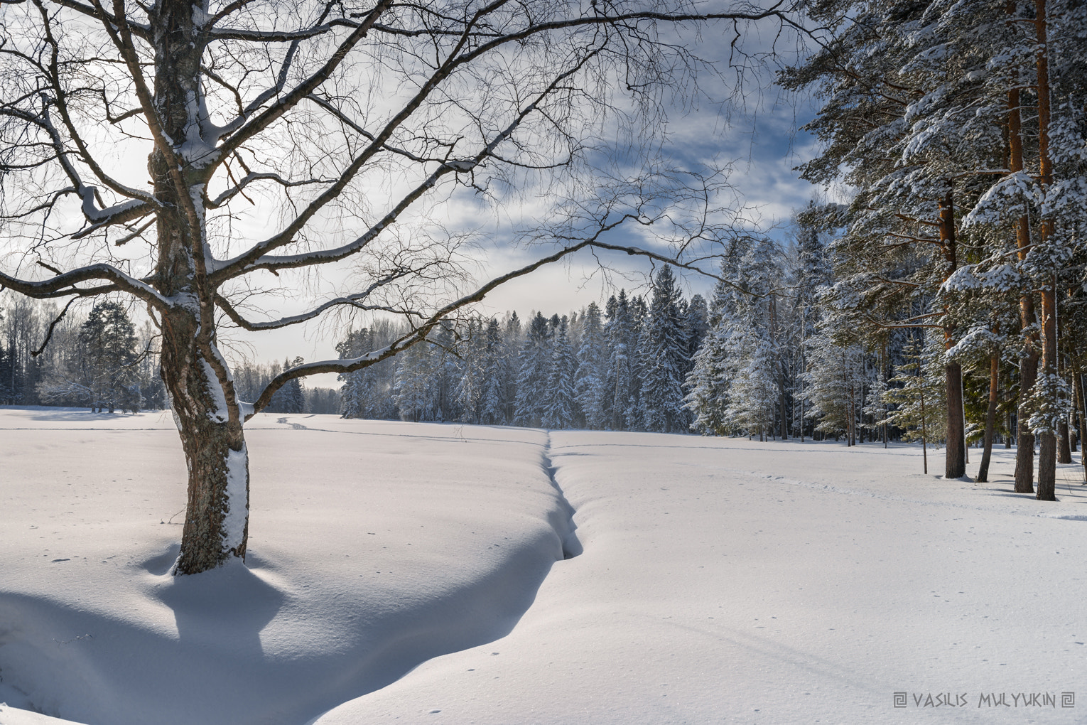 Sony Alpha DSLR-A900 + Minolta AF 28-70mm F2.8 G sample photo. Былое .. photography