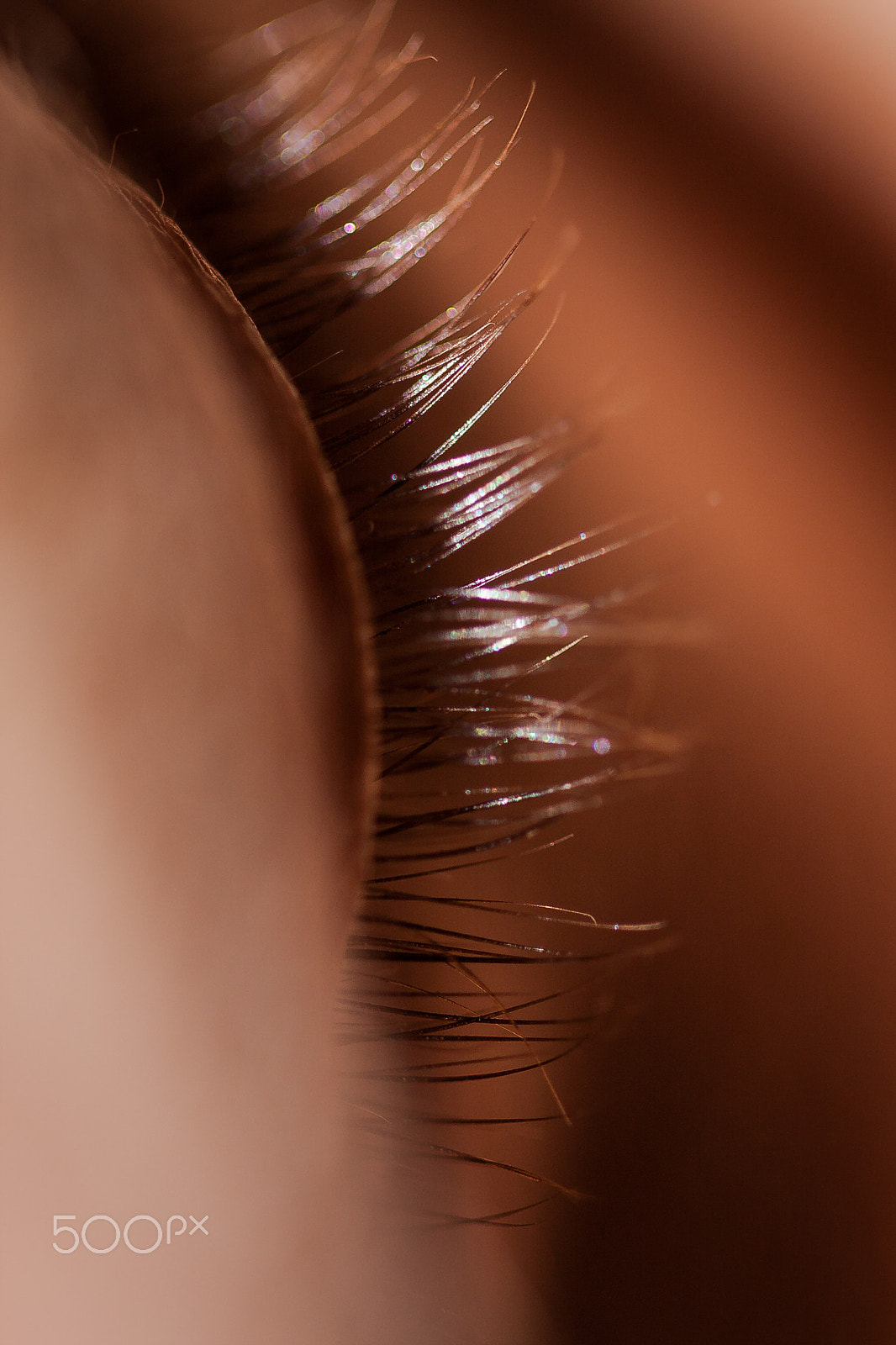 Canon EF 100mm F2.8 Macro USM sample photo. Eye lashes photography