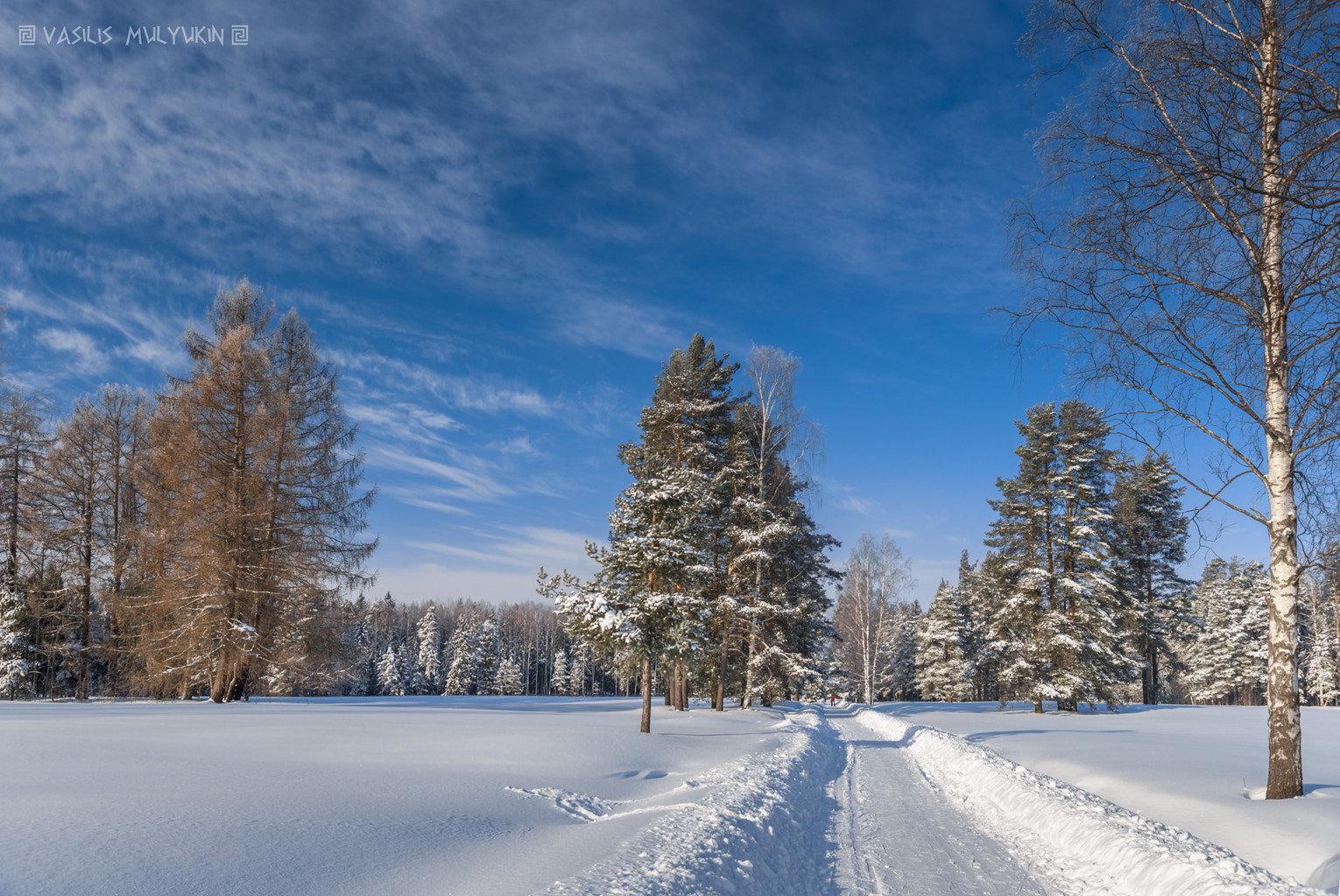 Sony Alpha DSLR-A900 sample photo. Былое . photography