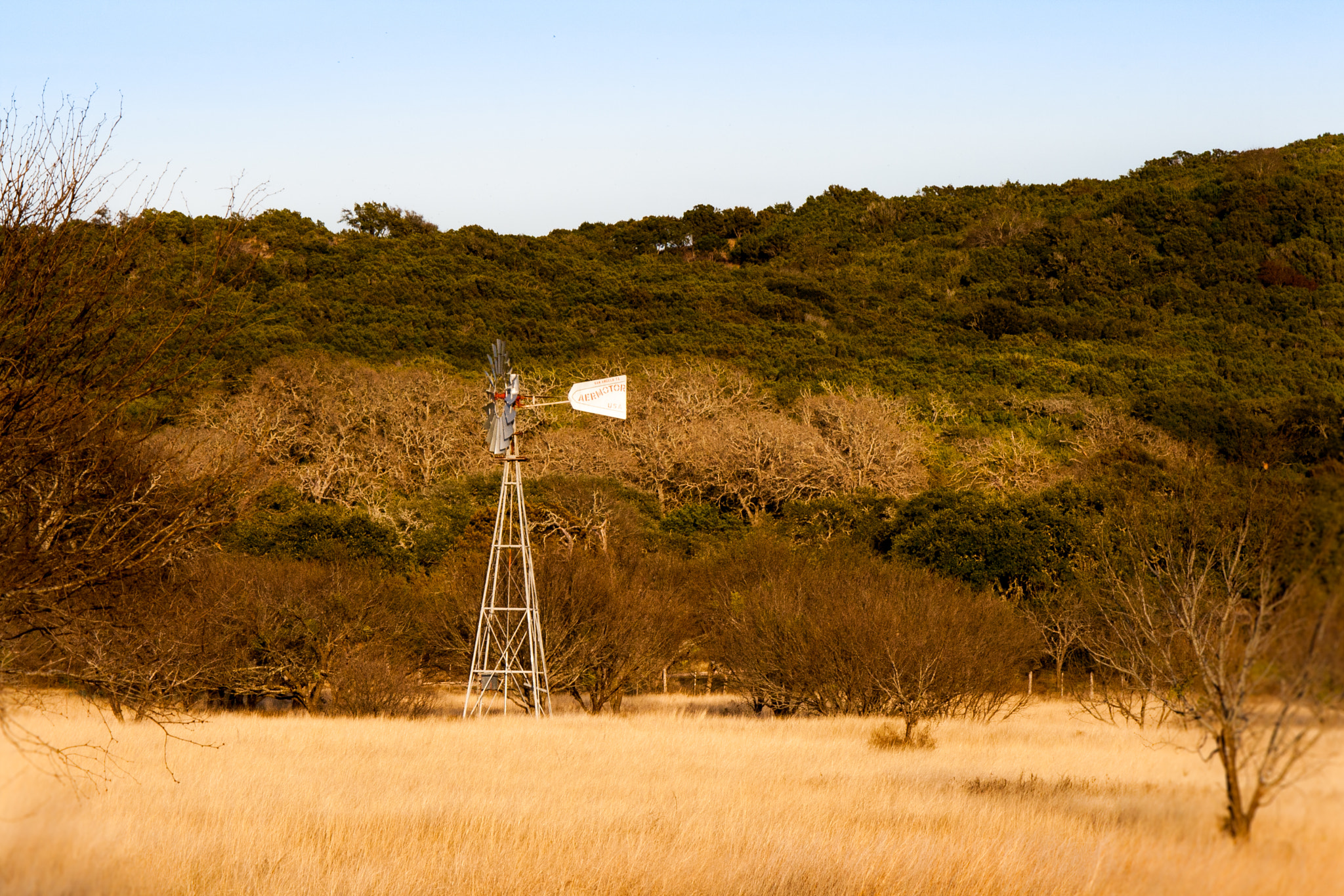 Canon EOS 400D (EOS Digital Rebel XTi / EOS Kiss Digital X) sample photo. Country road windmill photography