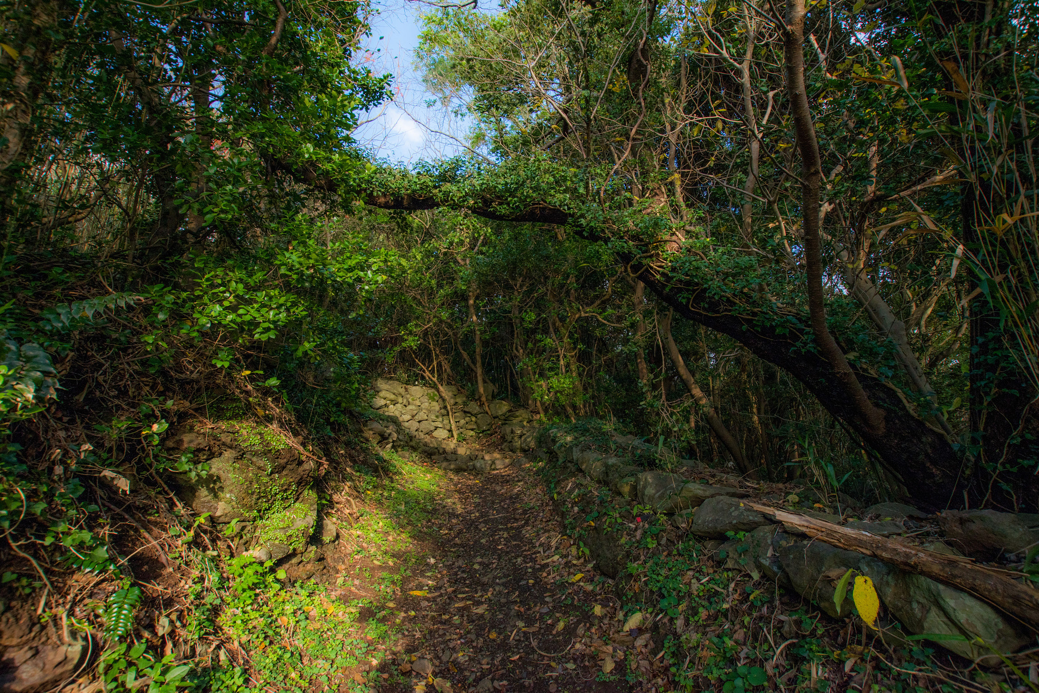 Nikon D5500 + Sigma 10-20mm F3.5 EX DC HSM sample photo