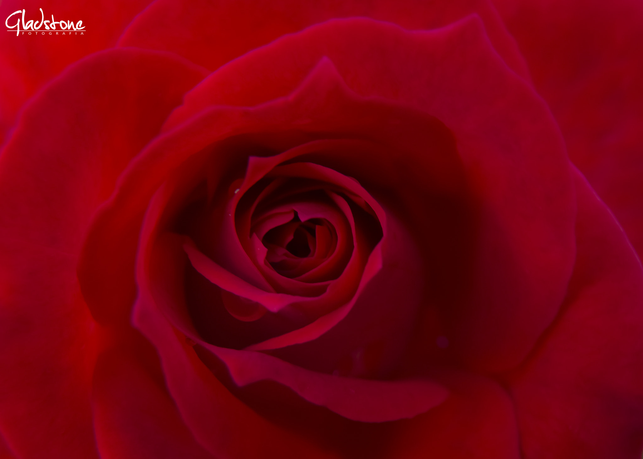 Sigma 17-50mm F2.8 EX DC OS HSM sample photo. Tom photography
