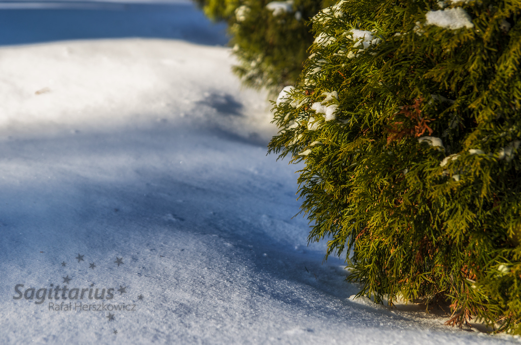 Pentax K-30 sample photo. Winter is here. (5/356) photography