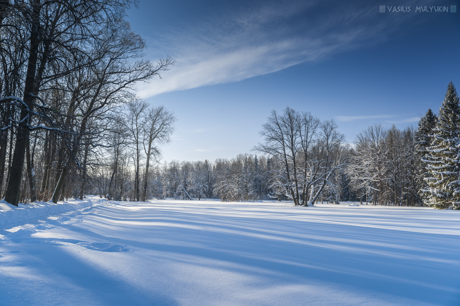 Sony Alpha DSLR-A900 + Minolta AF 28-70mm F2.8 G sample photo. Былое * photography