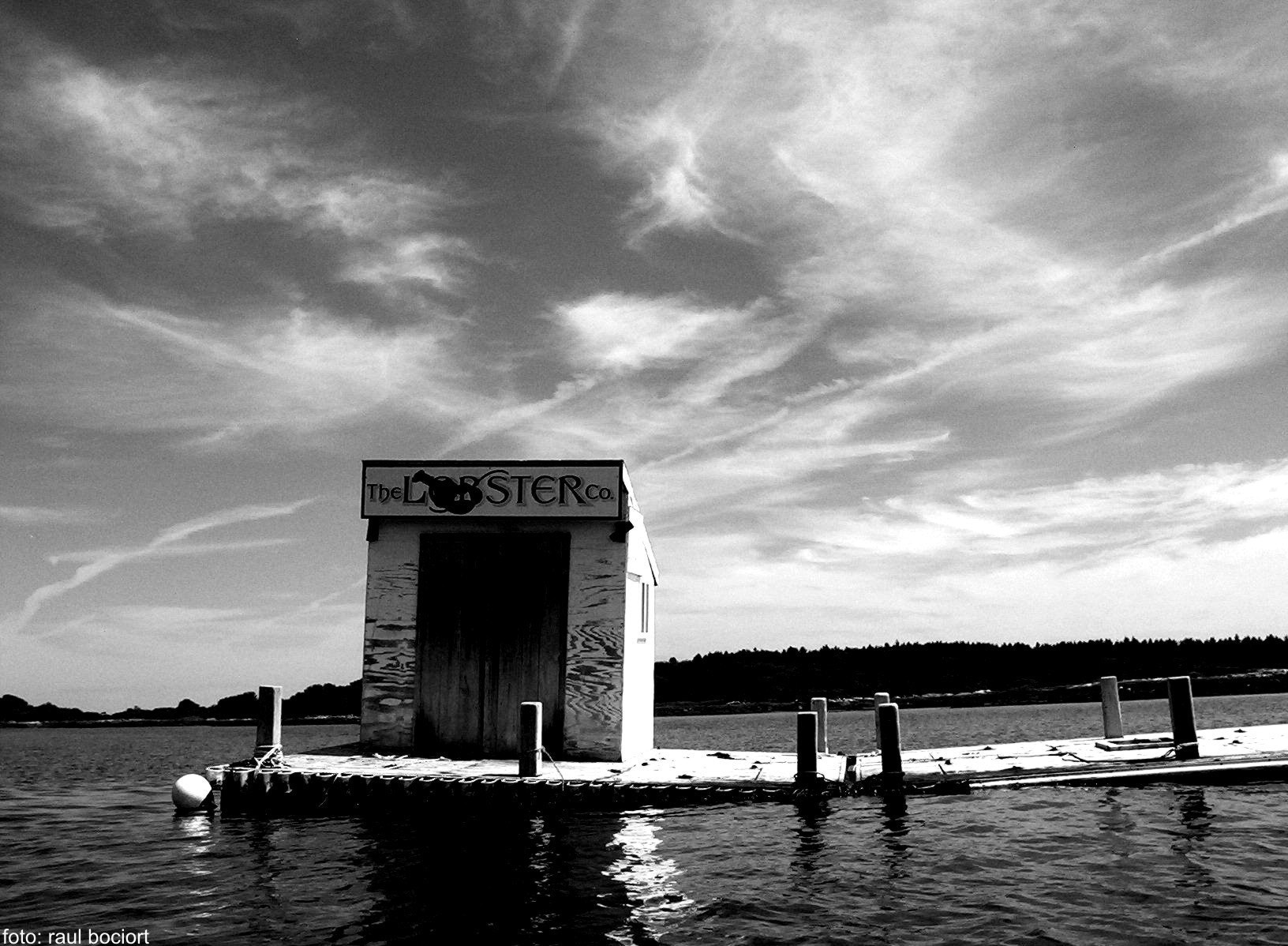 Kodak EASYSHARE CX6230 ZOOM DIGITAL CAMERA sample photo. Lobster house photography