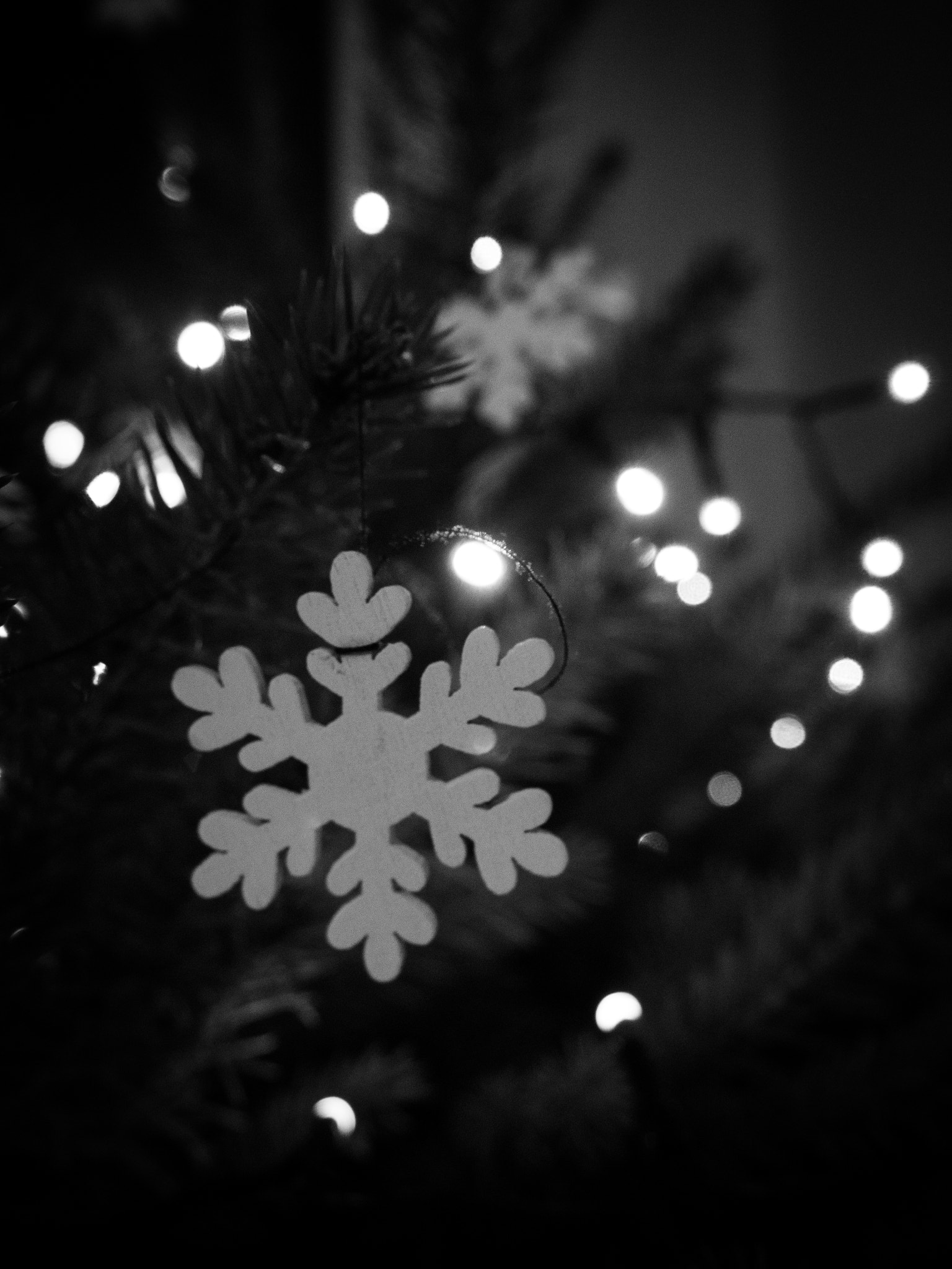 Olympus M.Zuiko Digital 14-42mm F3.5-5.6 II R sample photo. Snowflake photography