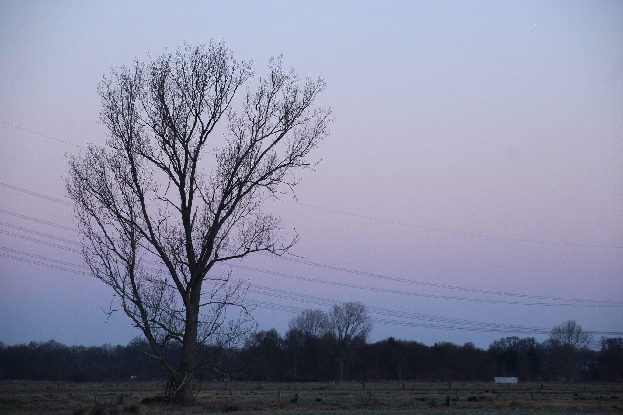 Canon EOS 1200D (EOS Rebel T5 / EOS Kiss X70 / EOS Hi) + Canon TS-E 90mm F2.8 Tilt-Shift sample photo. - photography