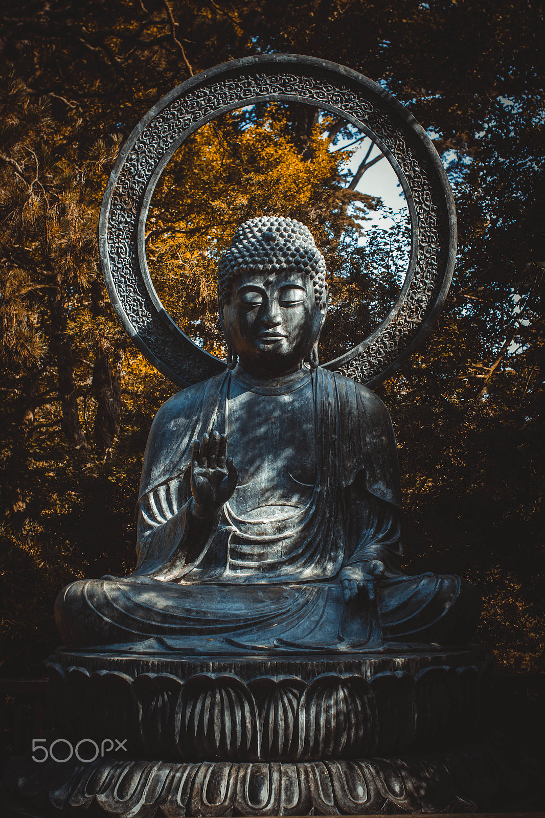 Sigma 30mm F1.4 EX DC HSM sample photo. Namaste photography
