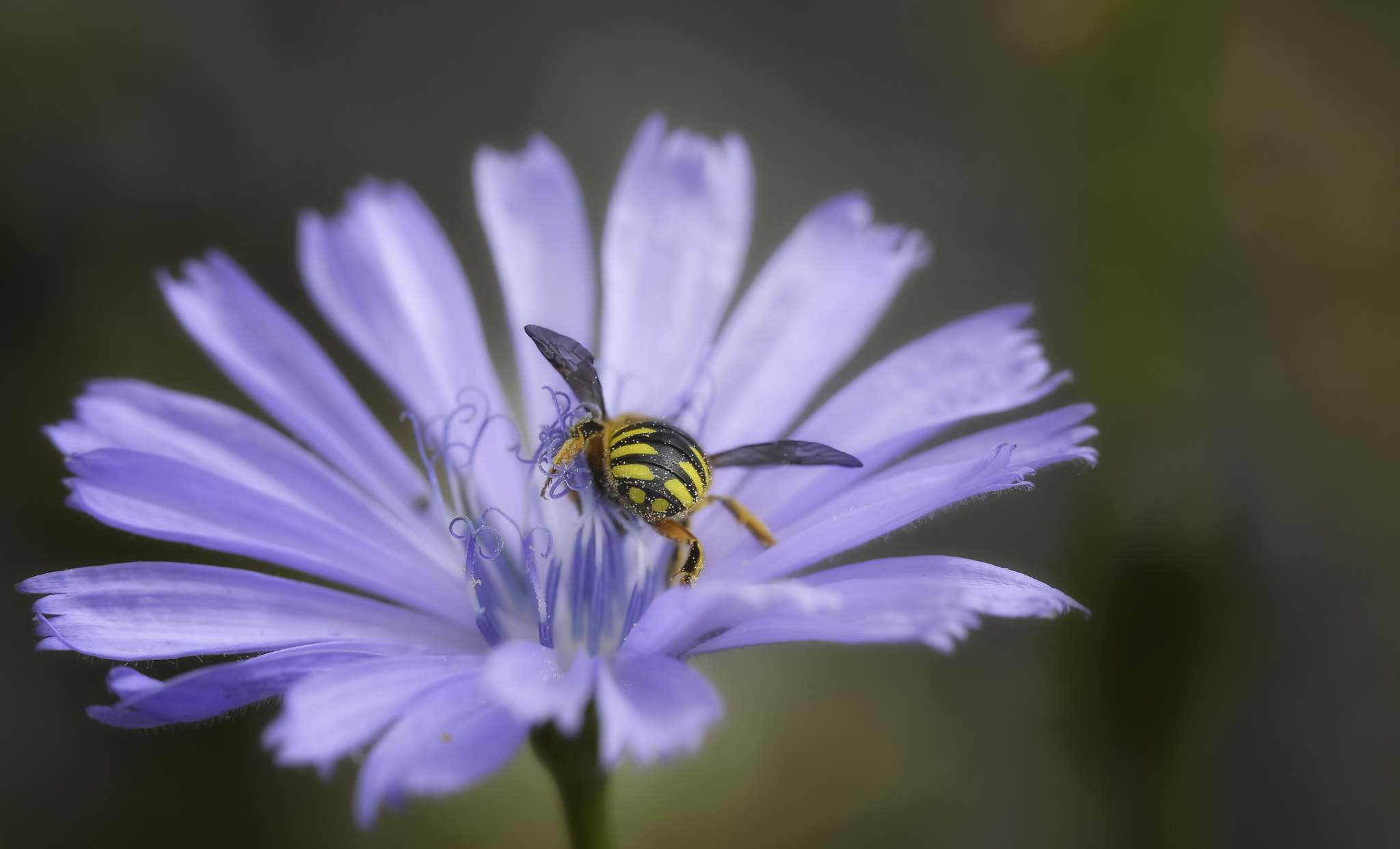 Nikon D3200 sample photo. Backlight photography