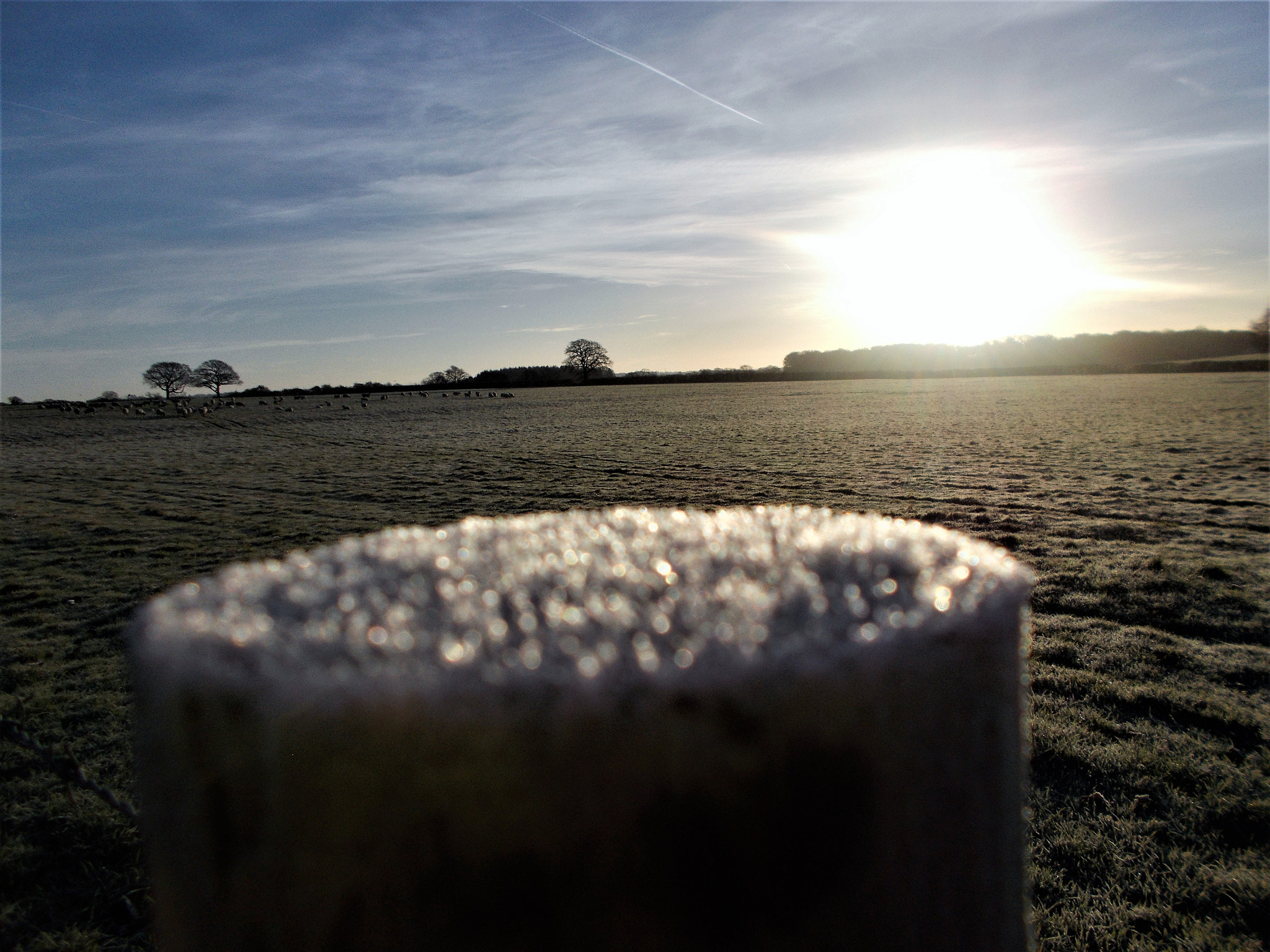 Nikon Coolpix A10 sample photo. Frost on a post photography