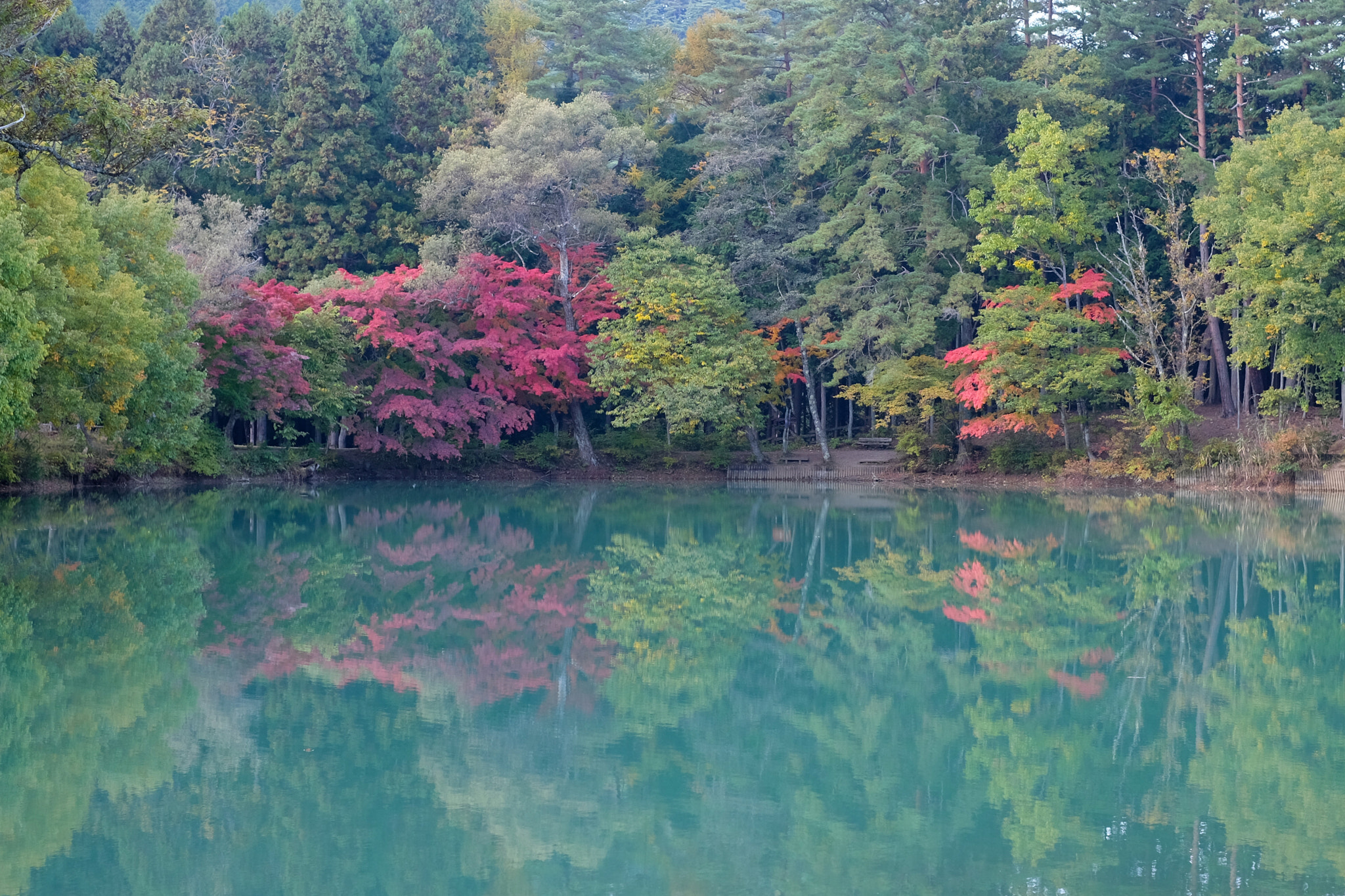 Fujifilm X-M1 + Fujifilm XF 35mm F1.4 R sample photo. Lake.inagako photography